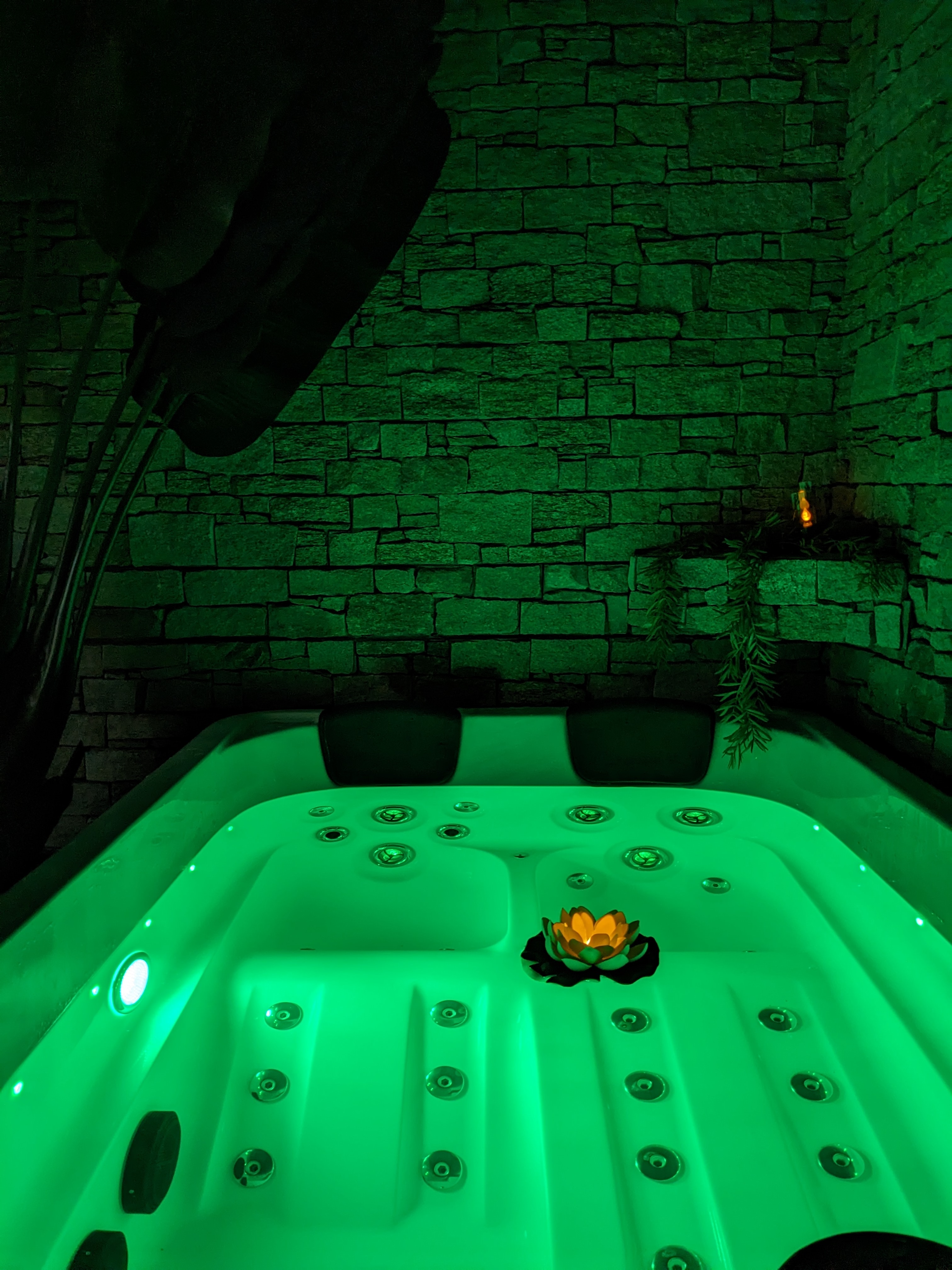 Nuit insolite avec Spa — Maison immersive en Amazonie à Agen à Agen — environnement naturel