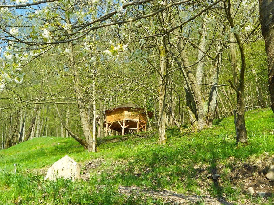 Cabane l'Appel de la Forêt : une expérience unique en Alsace