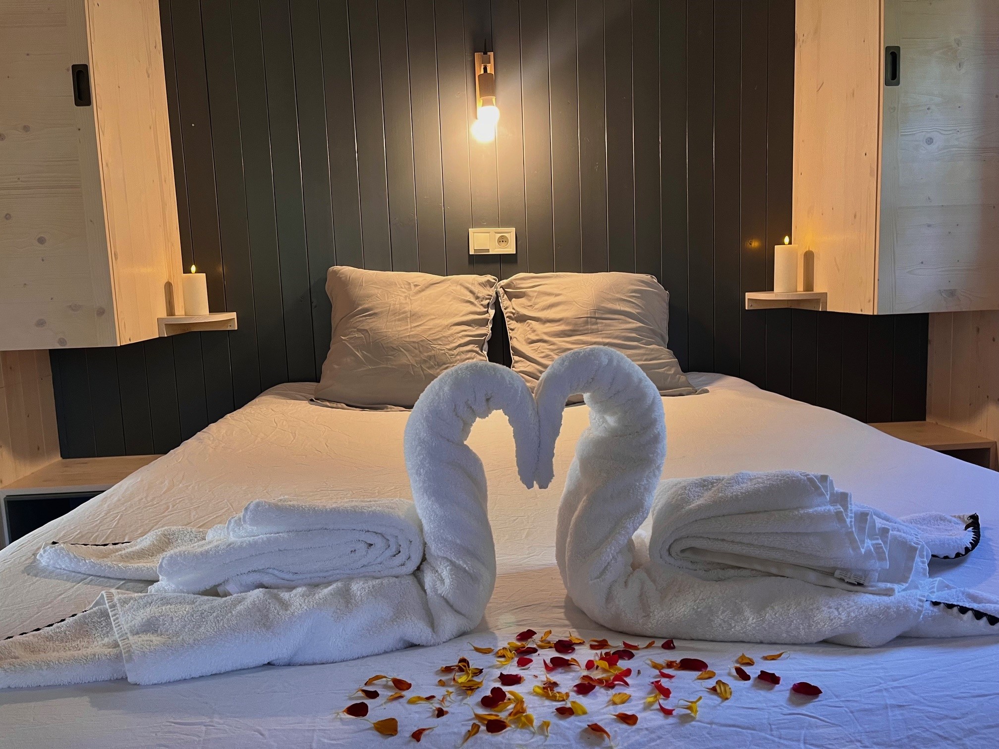 Évasion romantique dans une cabane avec jacuzzi en Aquitaine à Saint-Astier — espace de vie