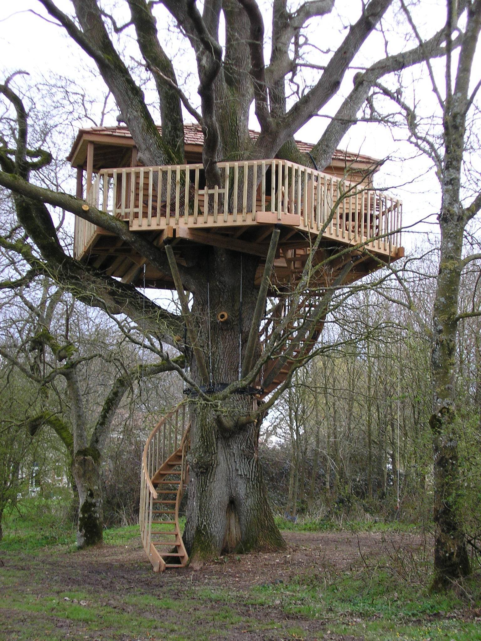 Bruit d'O — Cabane dans les arbres à 8m de hauteur en Maine-et-Loire à Sèvremoine — vue intérieure