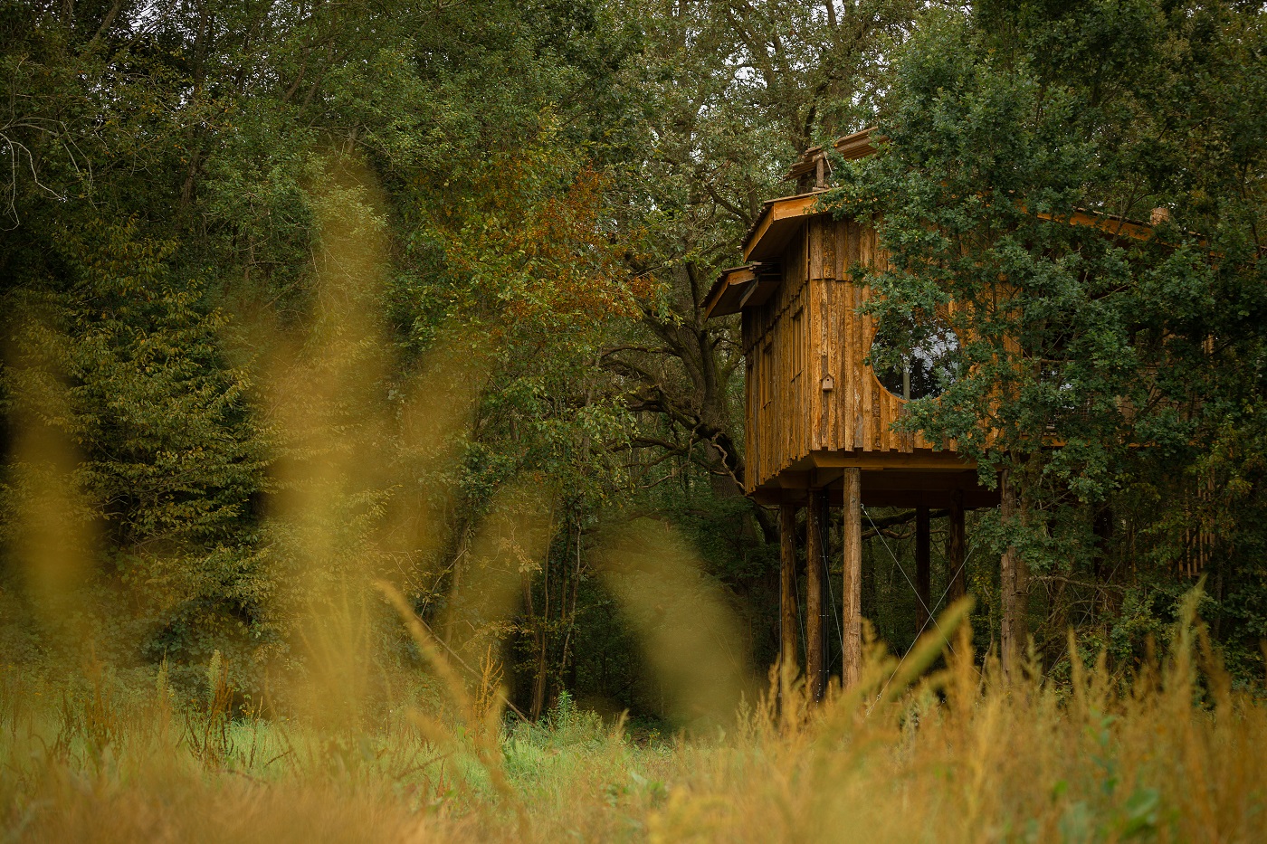 Cabane Spa Ecole Buissonnière : une expérience unique en Picardie à St-Léger-Aux-Bois — chambre