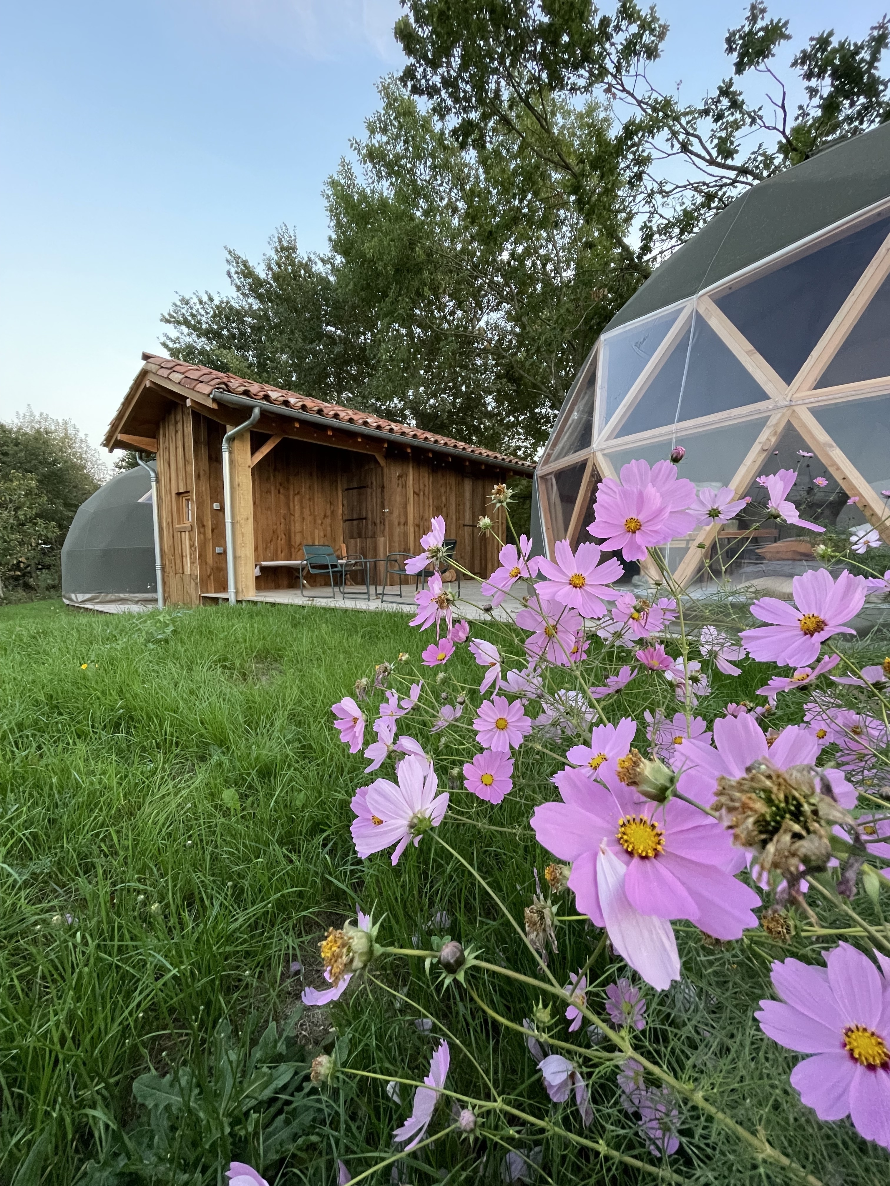 Cèdre dôme géodésique & Spa : une évasion sensorielle en Midi-Pyrénées à Lagraulet Du Gers — espace de vie