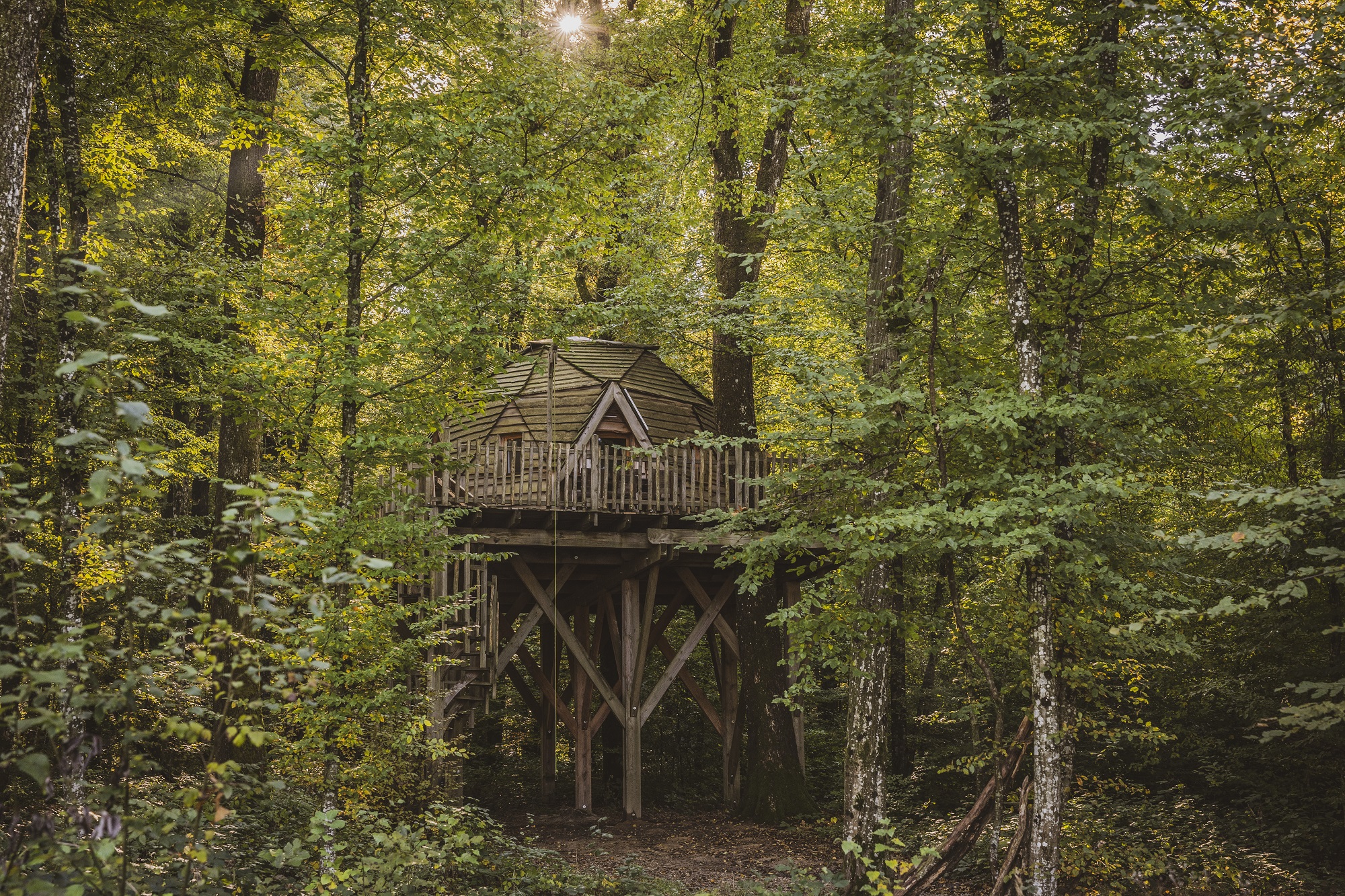 Cabane enchantée : une expérience magique dans les arbres à Joncherey — vue intérieure