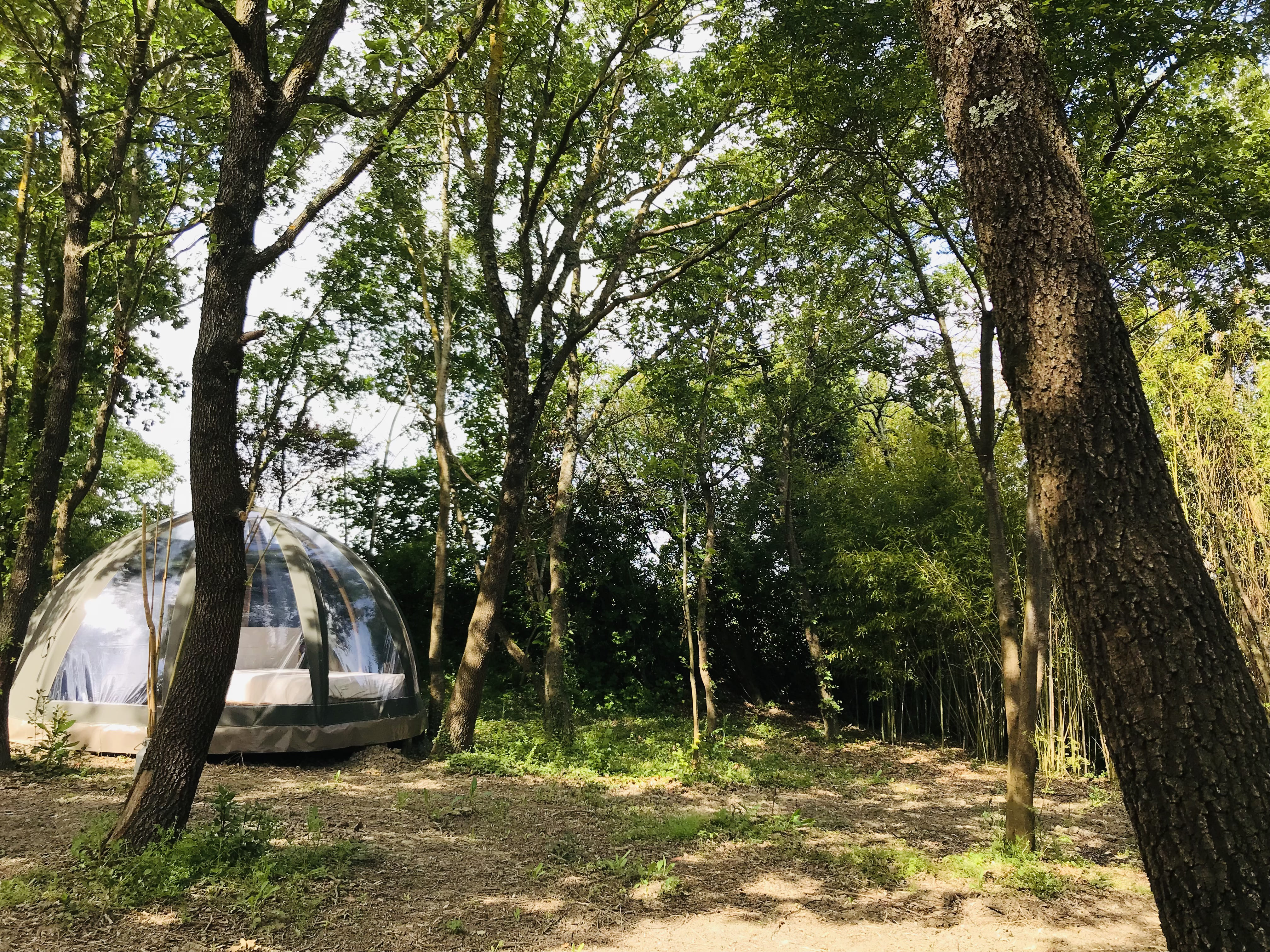 Ô Cocon du Lauragais - Dôme et Spa