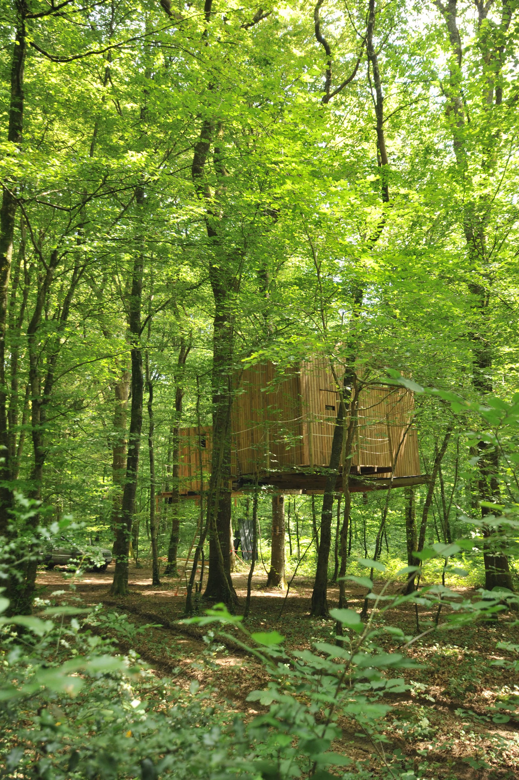 Cabane Ecureuil : une expérience suspendue dans les arbres