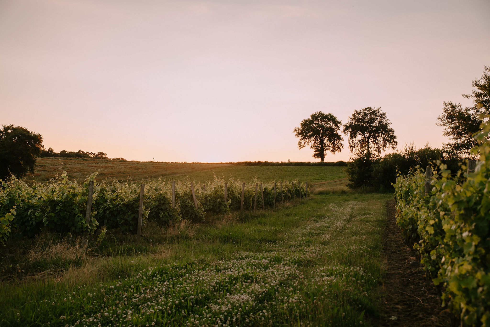 Photo 6/9 — Villa « Villa Hakuna Matata : une évasion en Aquitaine » à Pécorade Landes