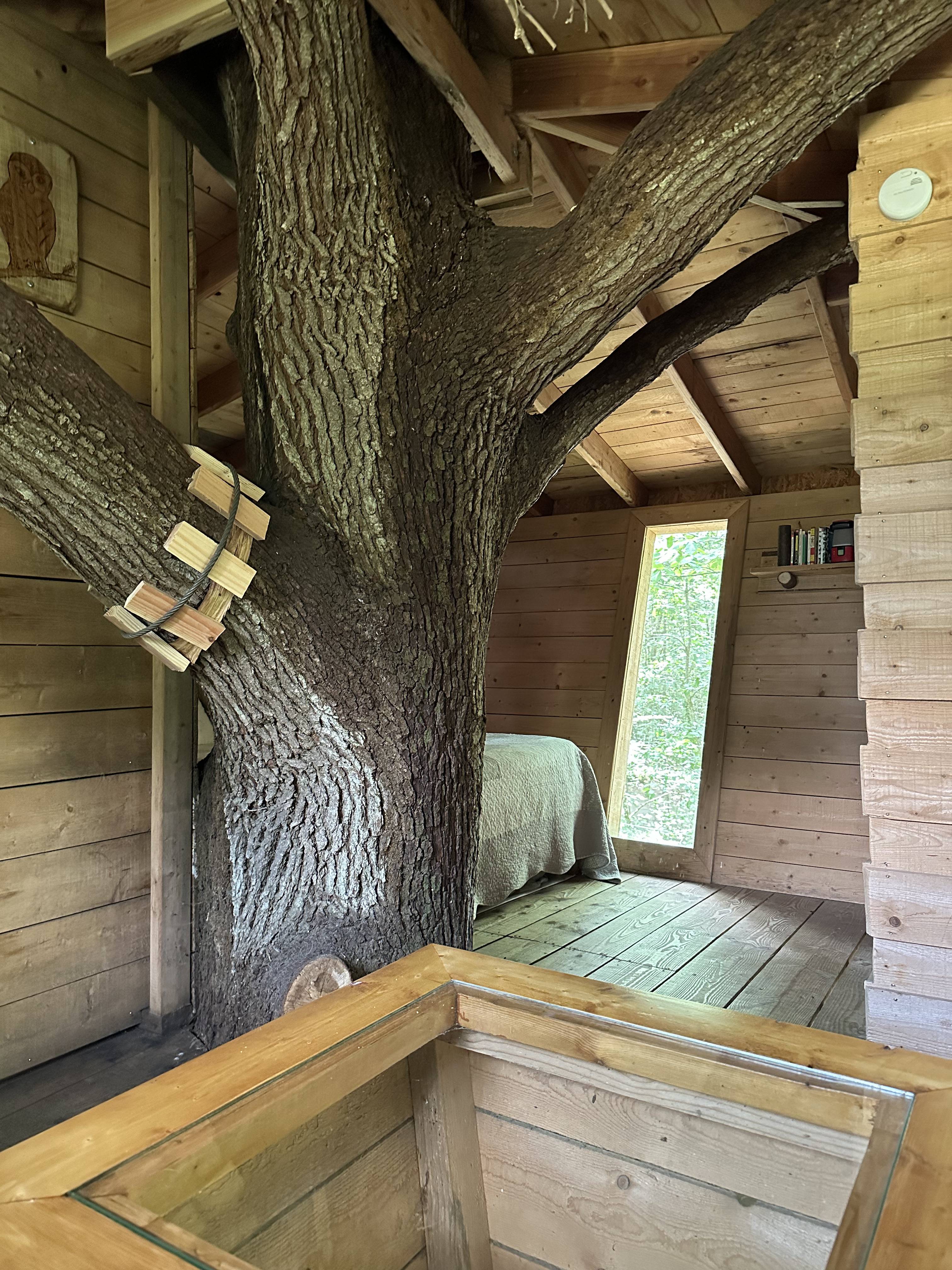 Cabane Hulotte — Nuit perchée à 8m dans les arbres en Mayenne à L'Orbière — cuisine