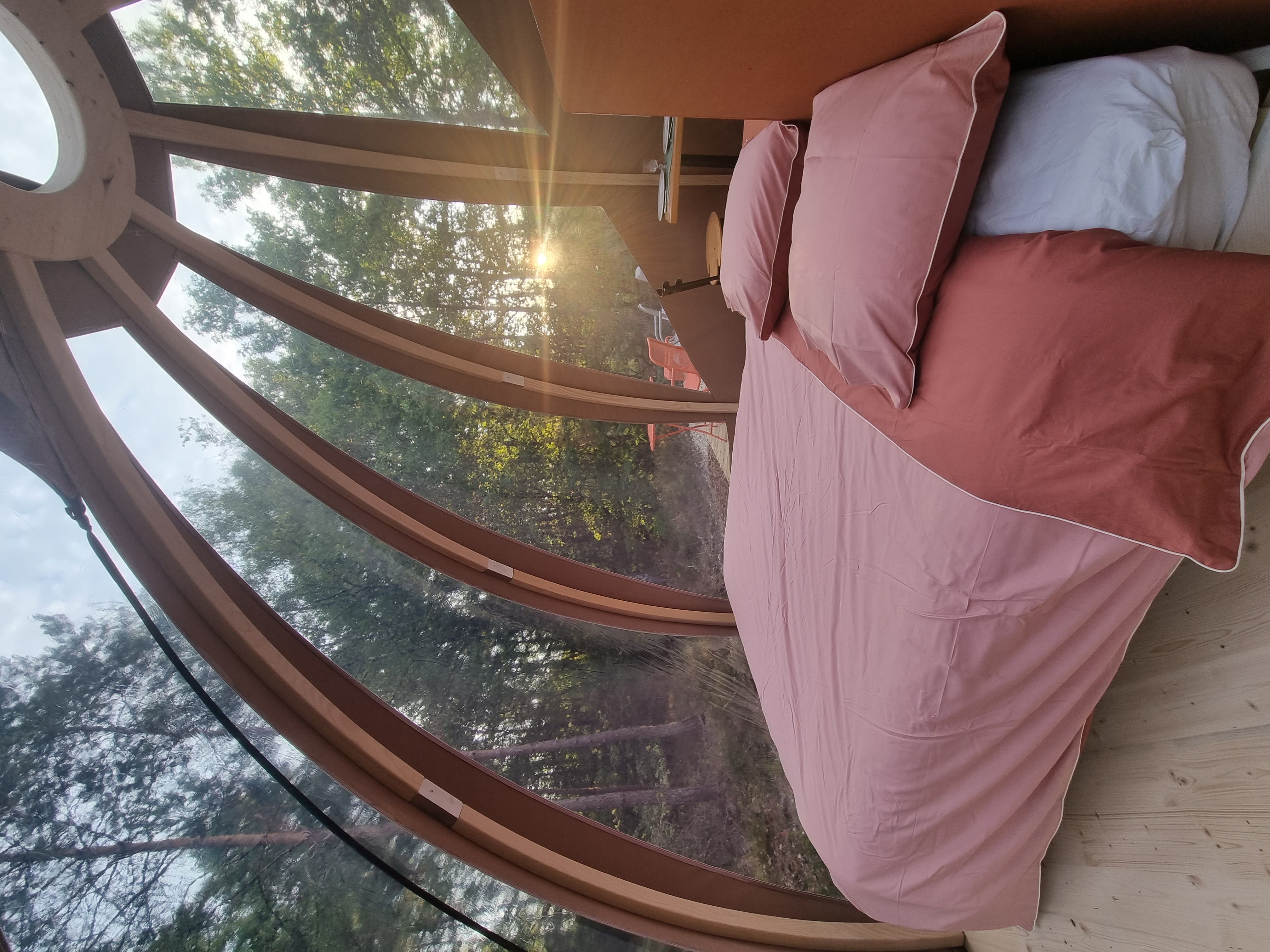 Bulle & Rêves Spa : une évasion sensorielle en pleine nature à Souesmes — vue intérieure