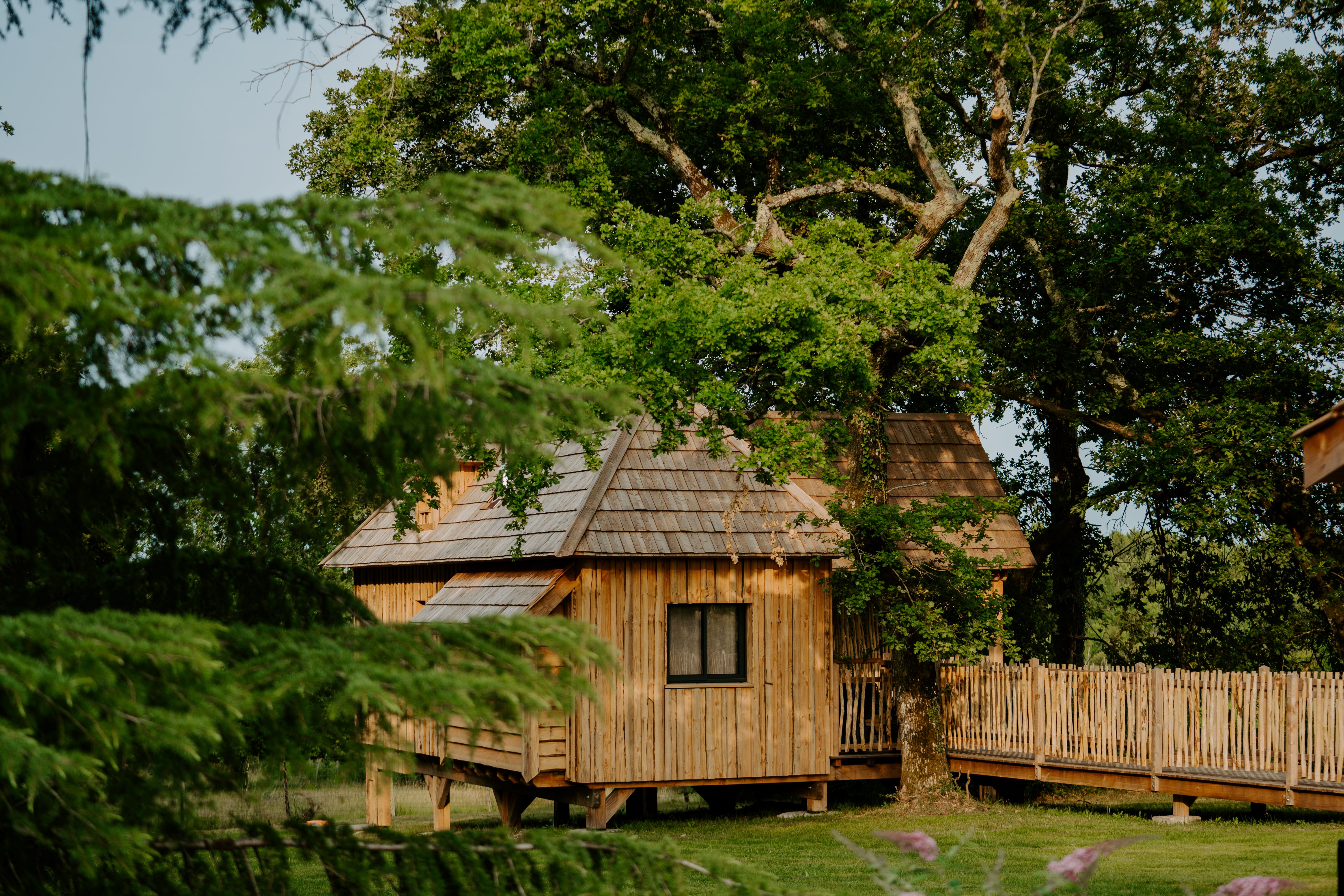La Cabane le Carrelet & Spa : une expérience suspendue dans les arbres à Martillac — vue depuis la terrasse