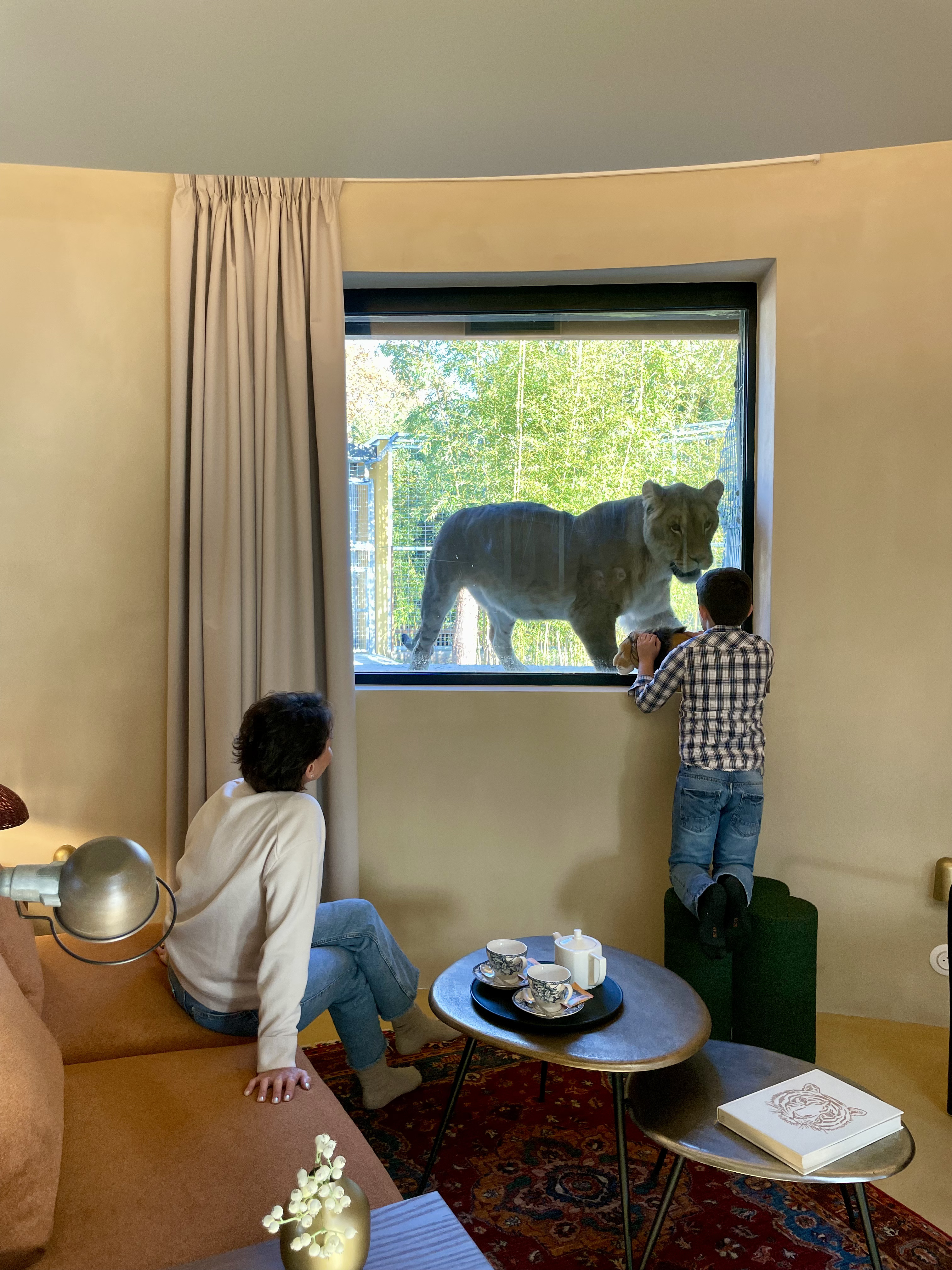 Lodge Lions : une expérience immersive en Aquitaine à Pessac — vue intérieure