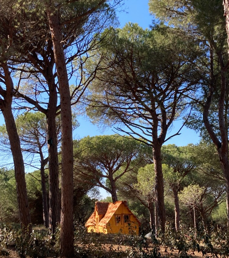 La Cabane Enchantée — Cabane avec spa à Aude à Bizanet — détail architectural