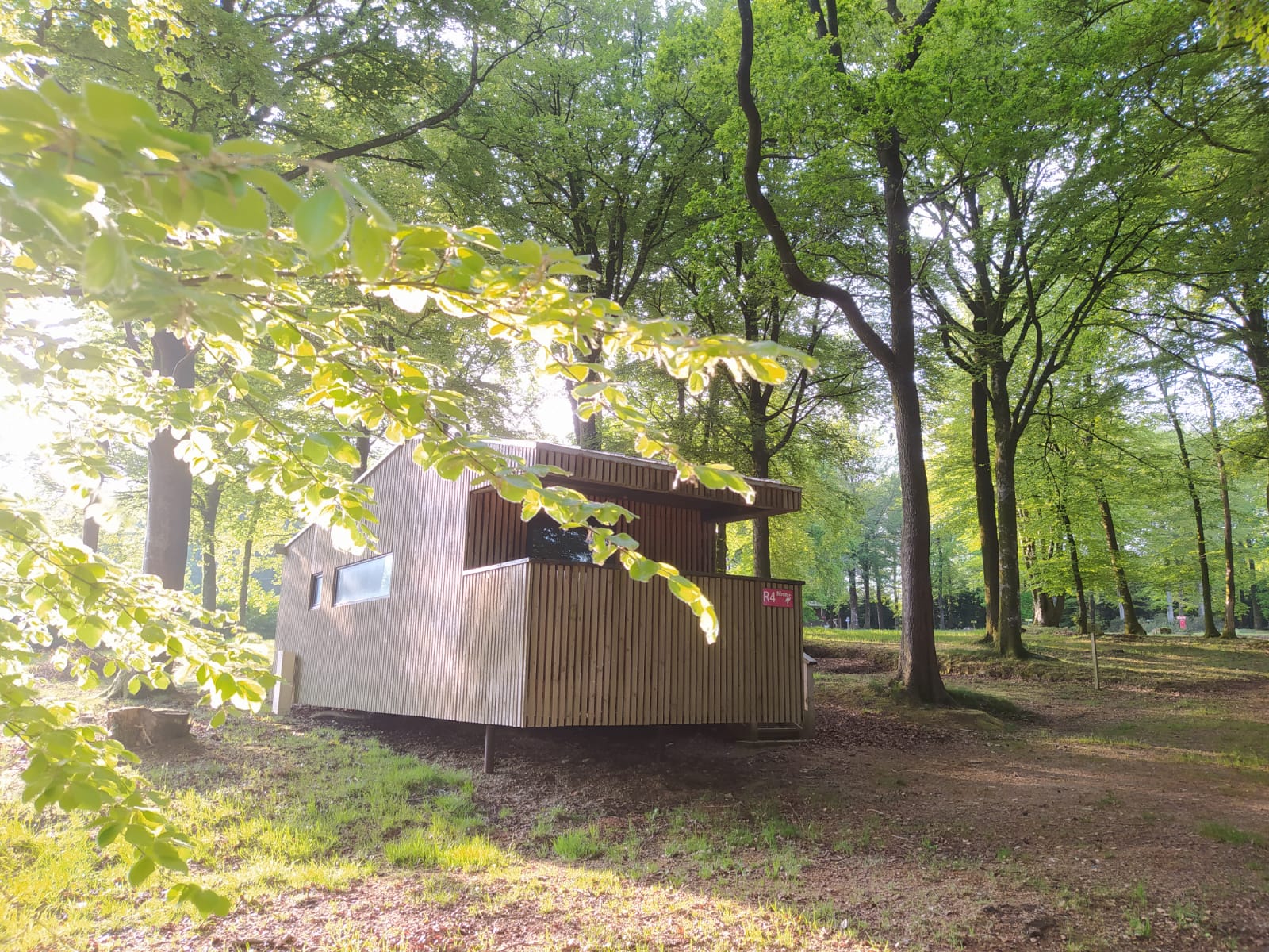 Chalet-Lodge premium & Spa : une évasion en pleine nature à Saint-Sever-Calvados — vue intérieure