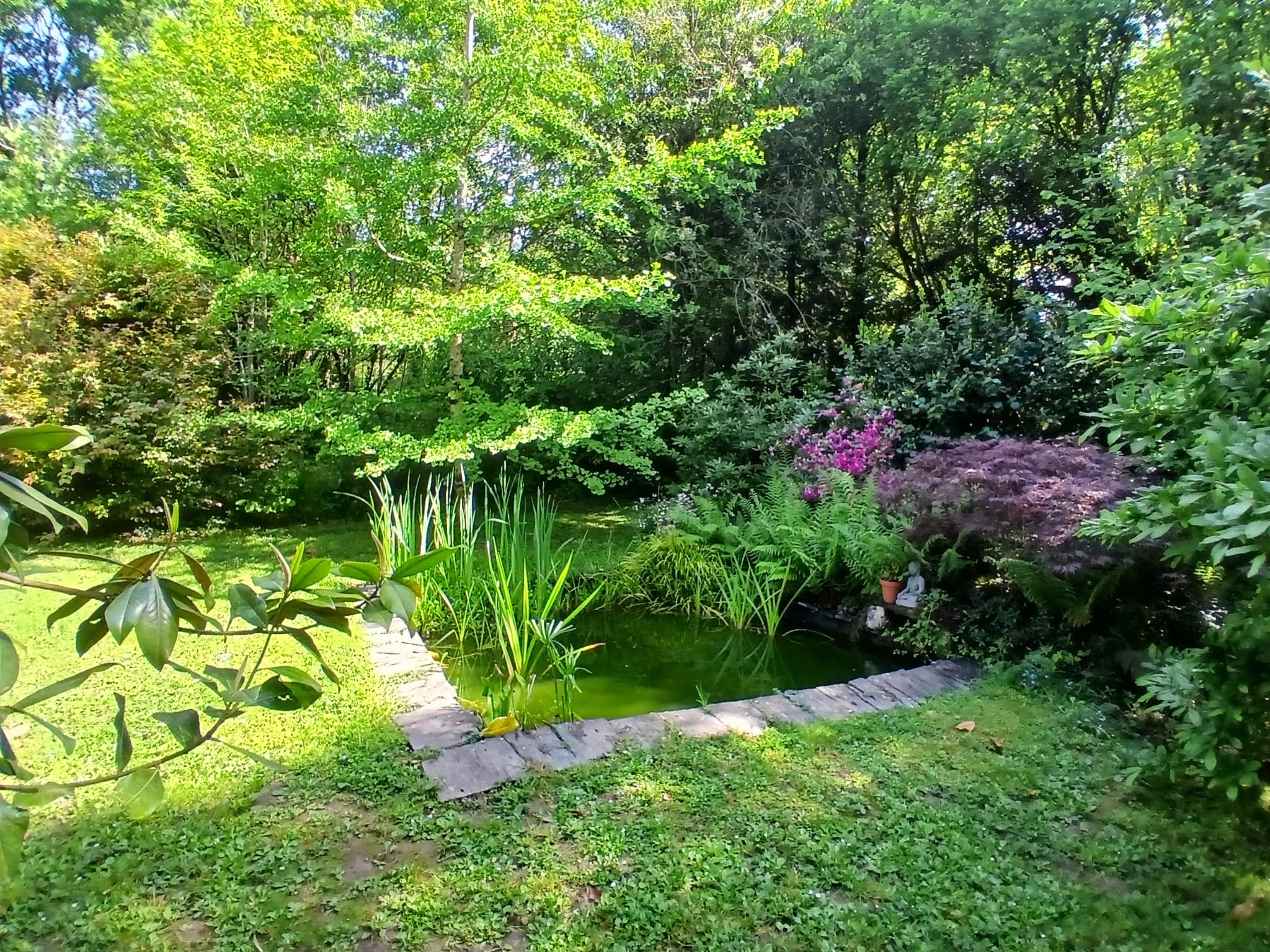 Le Temple Ysambre & Spa — Cabane avec jacuzzi en Bretagne à Vannes — vue depuis la terrasse