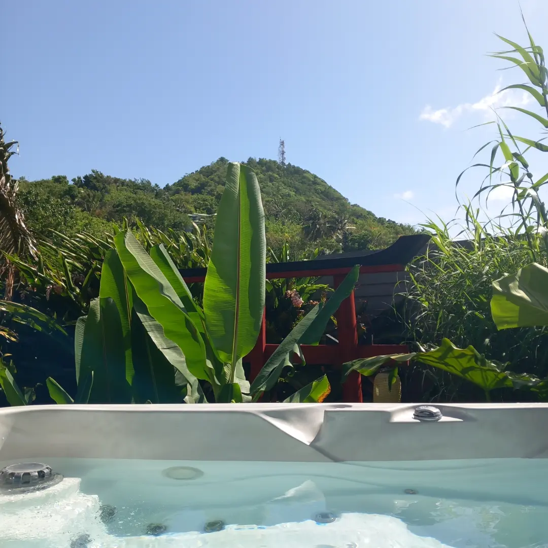 Zen Lodge : une cabane sur pilotis avec spa au cœur de la nature à France — espace de vie
