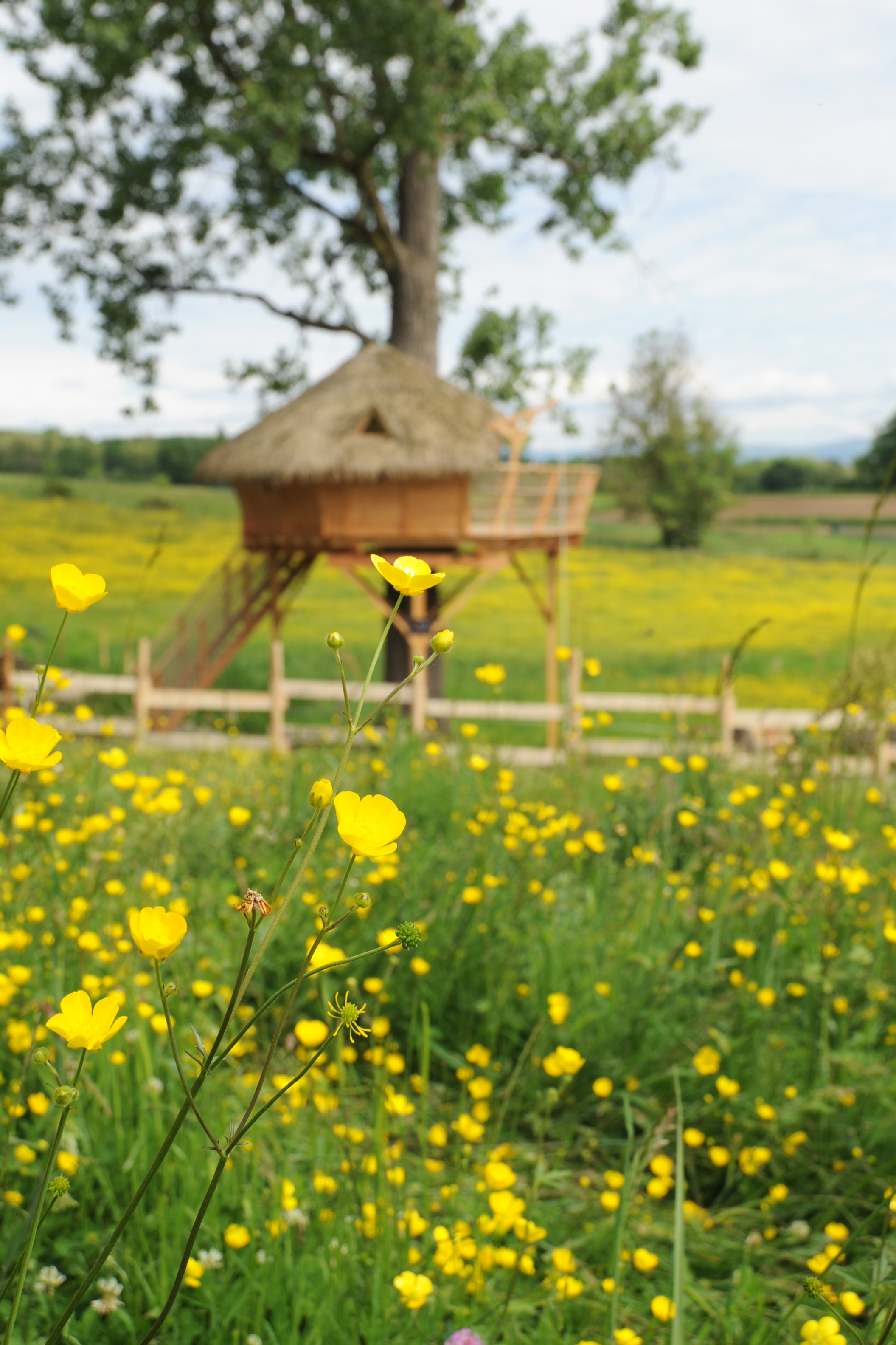 La Cabane du Domaine de Suzel — Cabane dans les arbres avec spa en Isère à Saint-Quentin-sur-Isère — chambre