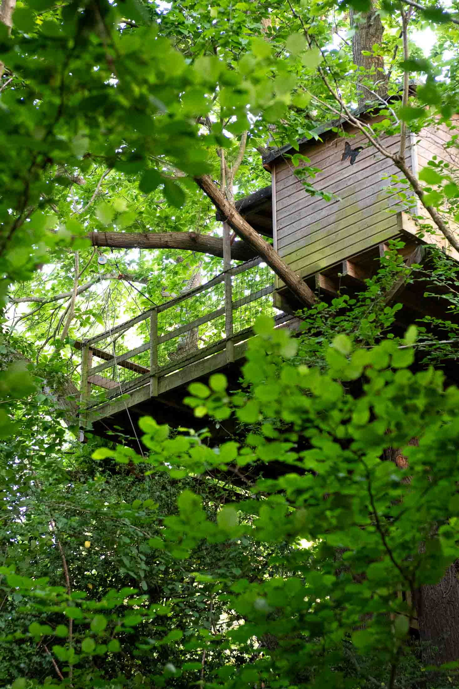 Cabane Pivert — Nuit perchée à 8m dans un châtaignier en Calvados à Caen — vue intérieure