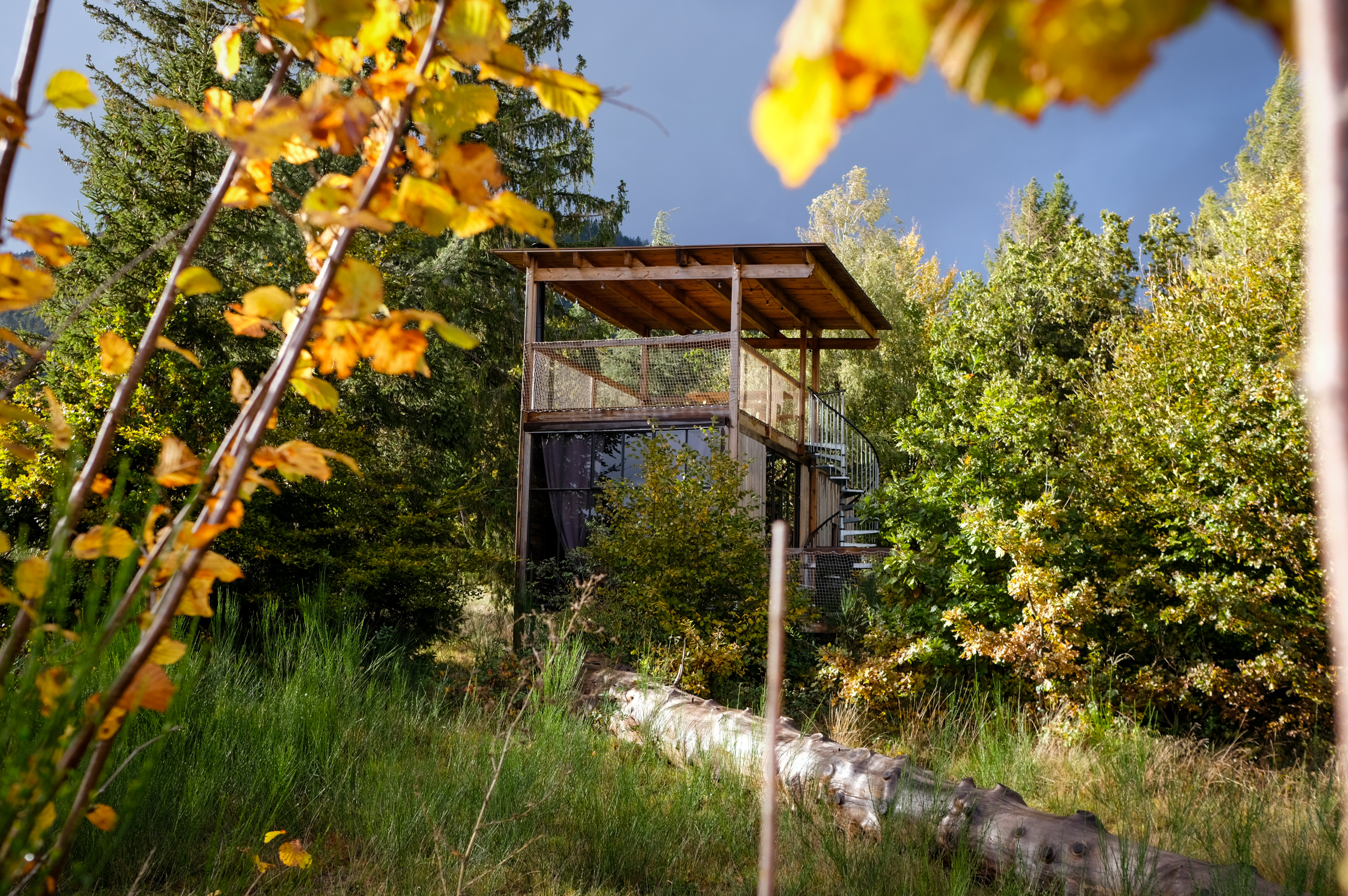 Nutchel Cabane Cosy Canopée — Cabane avec terrasse à 4m en Bas-Rhin à Obernai — salle de bain