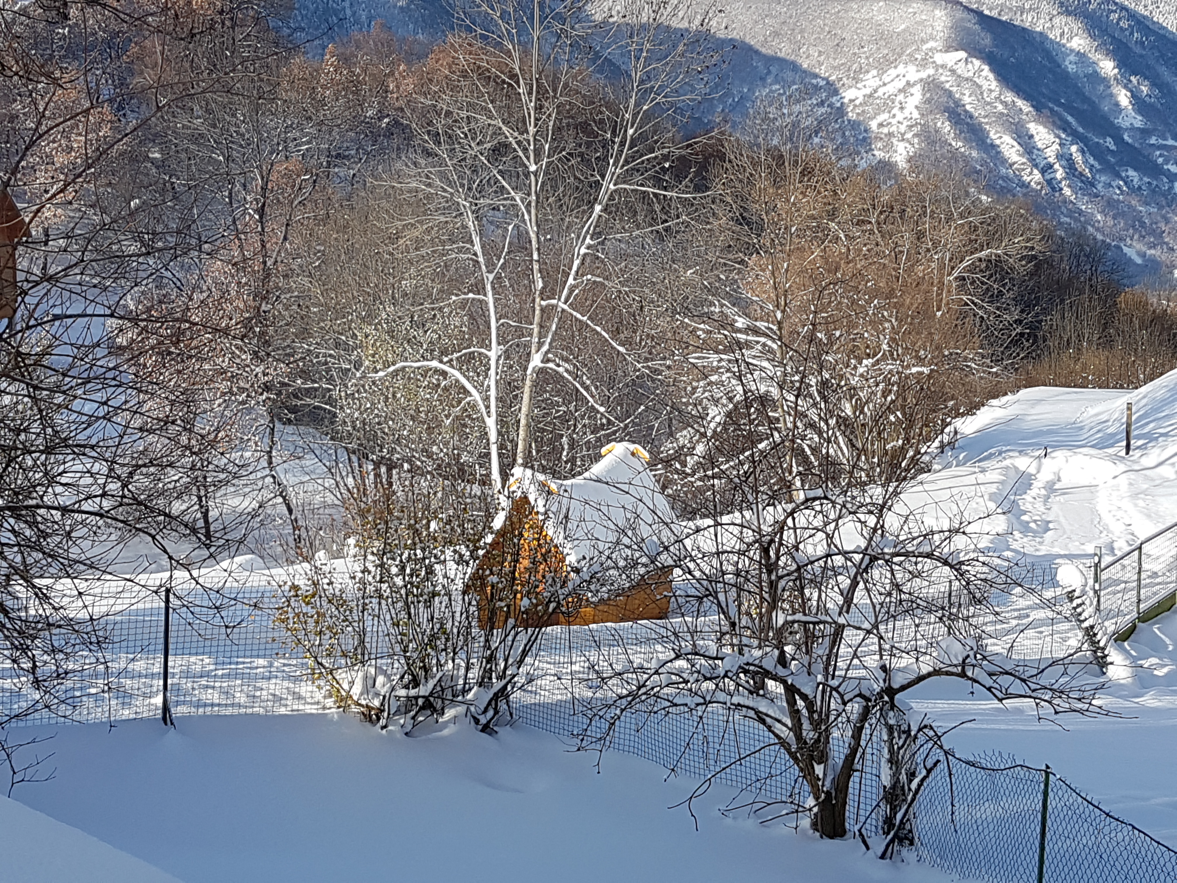 Cabane Les Encantadas : une évasion en pleine nature à Ignaux — vue depuis la terrasse