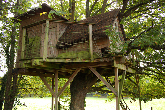 La cabane perchée Heol : une immersion dans les arbres bretons