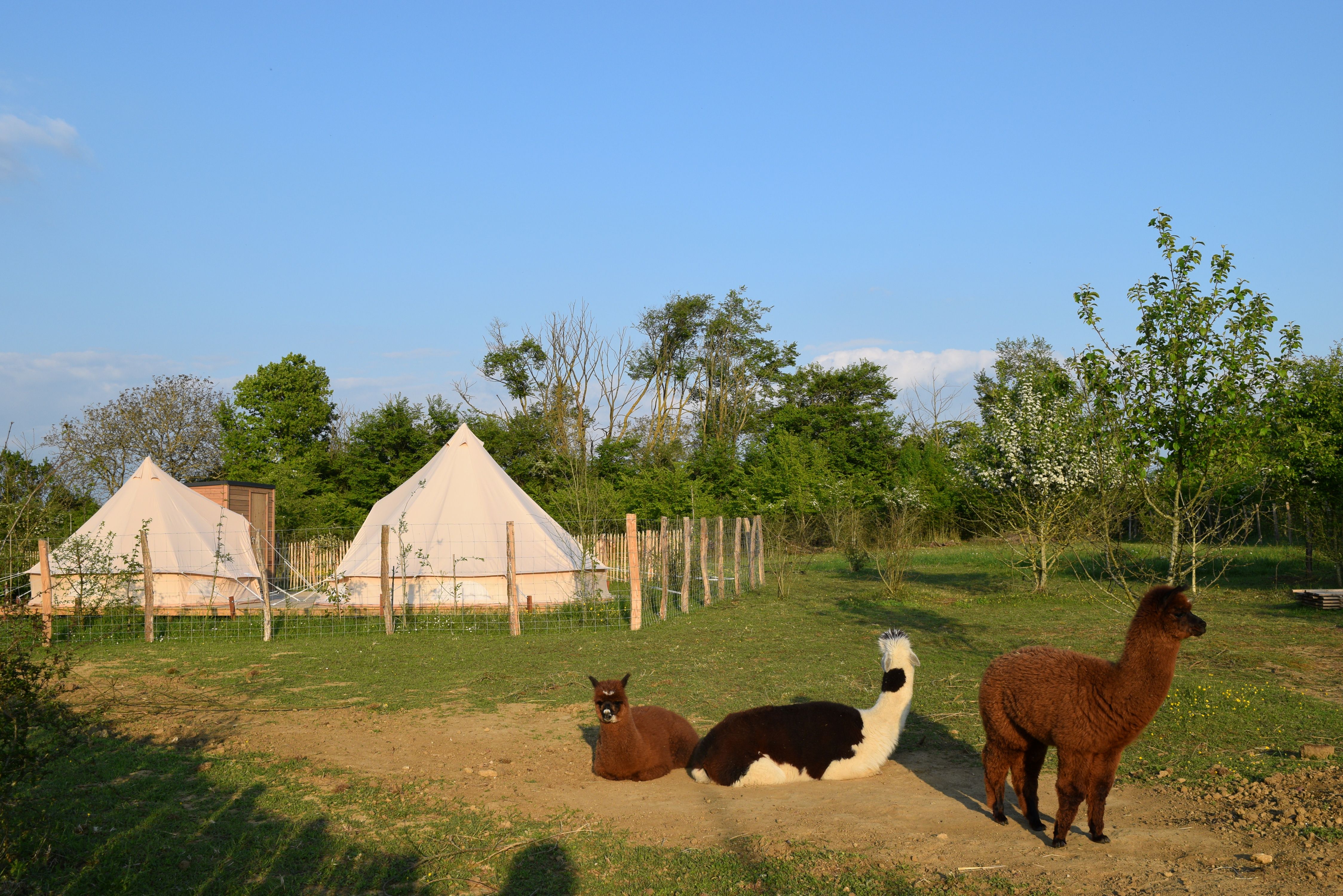 Tente Zéla — Séjour nature avec spa à Maine-et-Loire