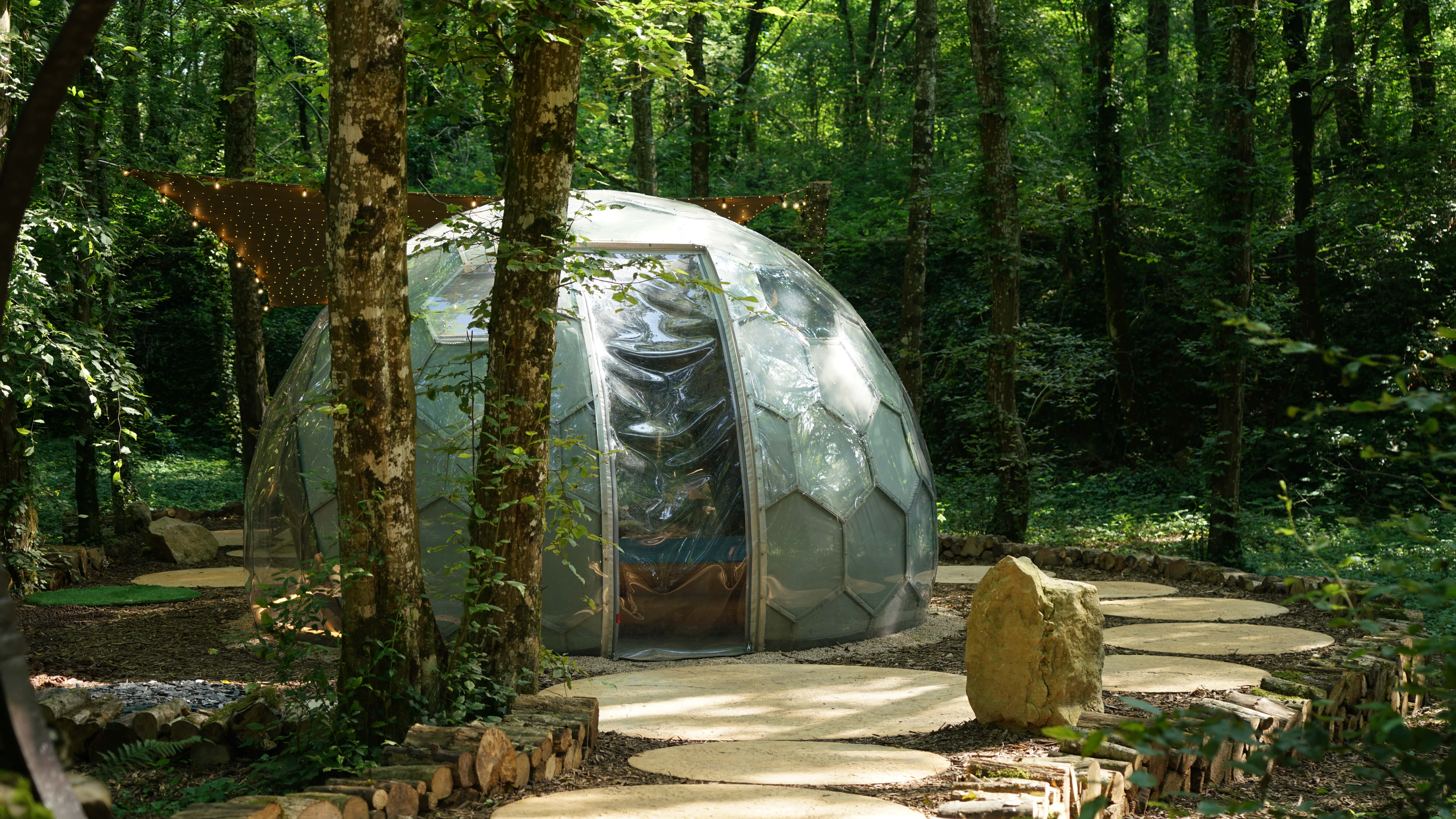 Bulle au cœur des bois - Royaume des Textures