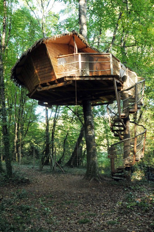 Cabane du Pêcheur : une expérience suspendue dans les arbres à Magné — espace de vie