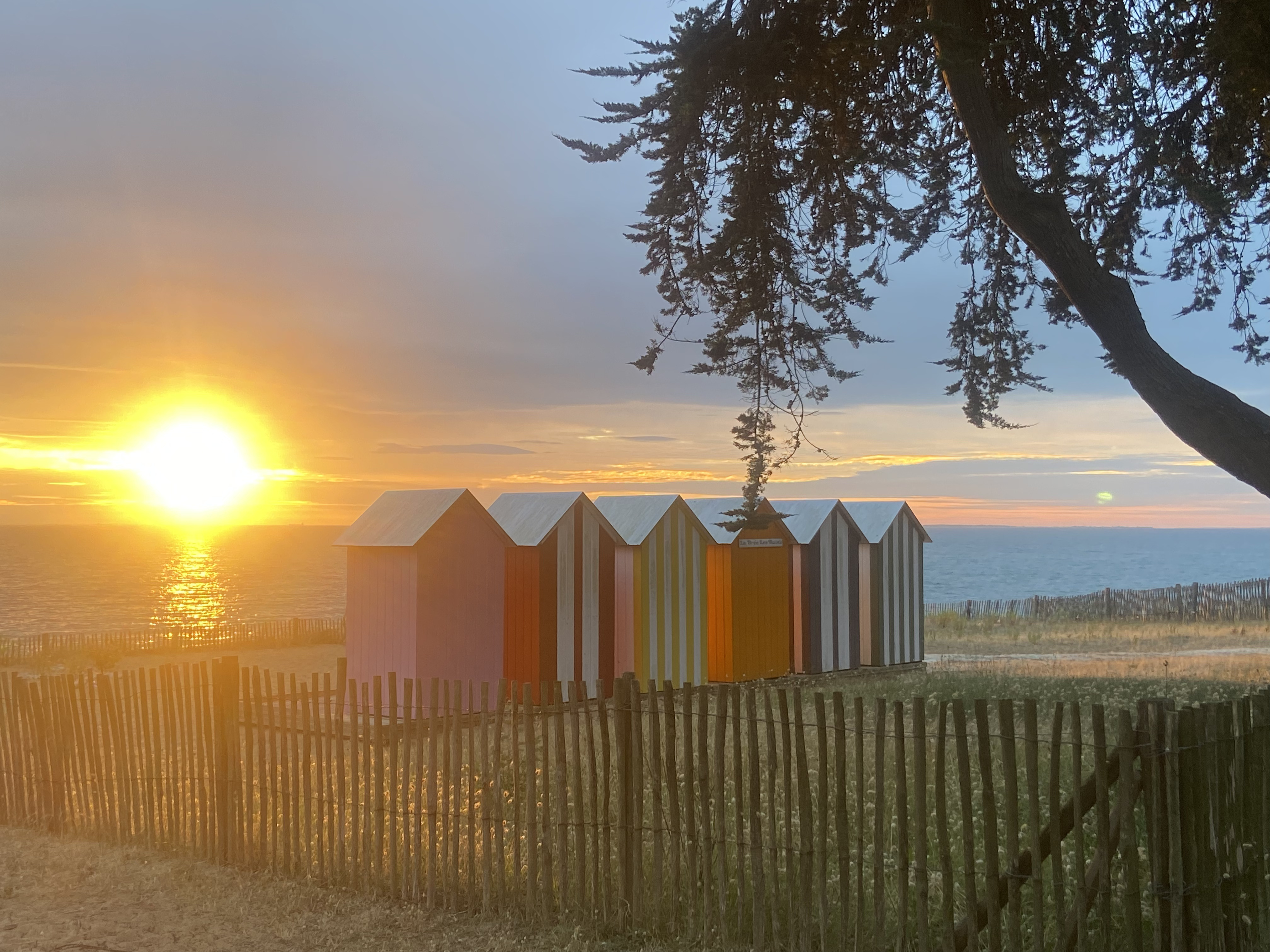 La Pause d'Oléron — Écolodge avec spa à La Brée-les-Bains à La Brée-les-Bains — espace de vie