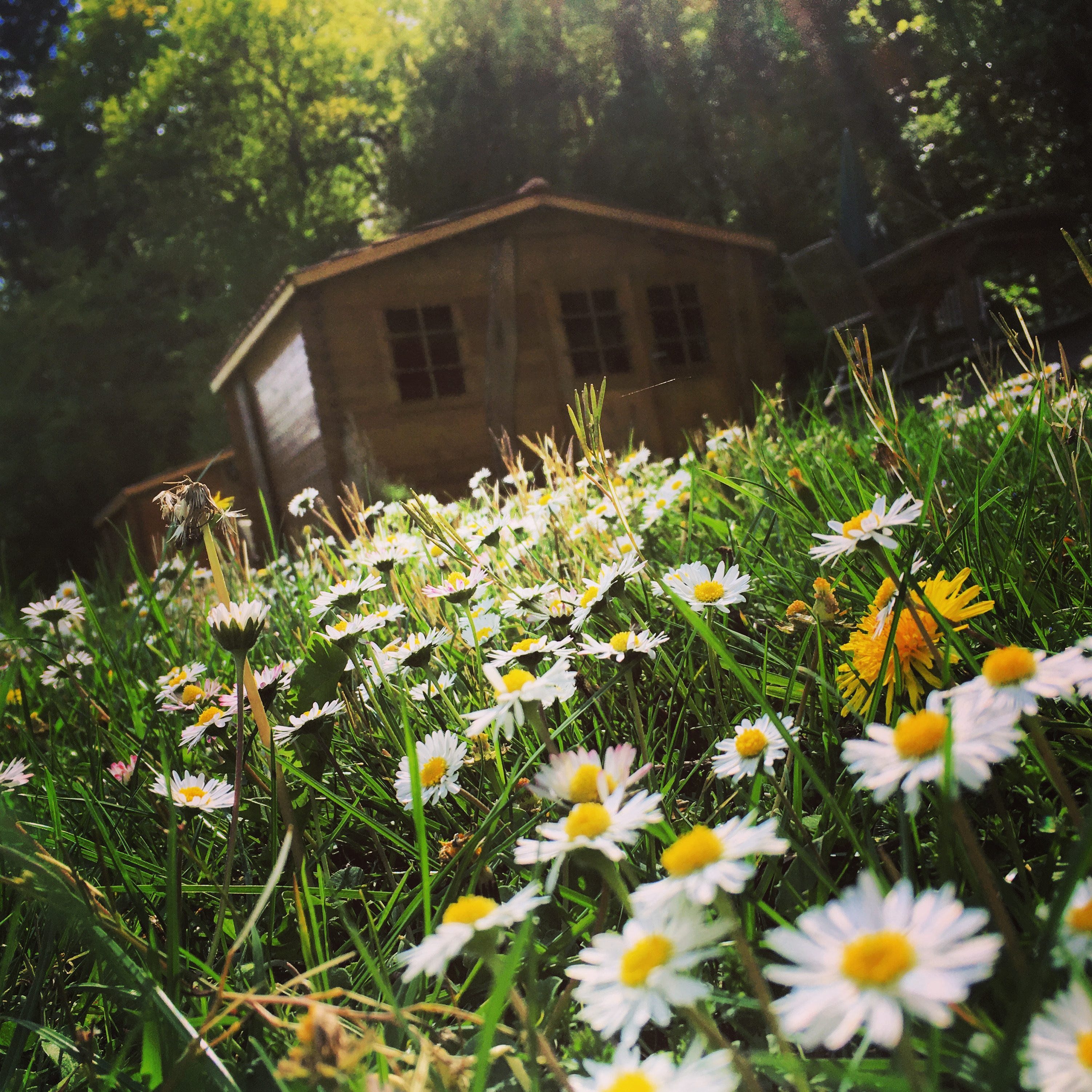 Chalet Pêcheur — Chalet avec spa à Meuse