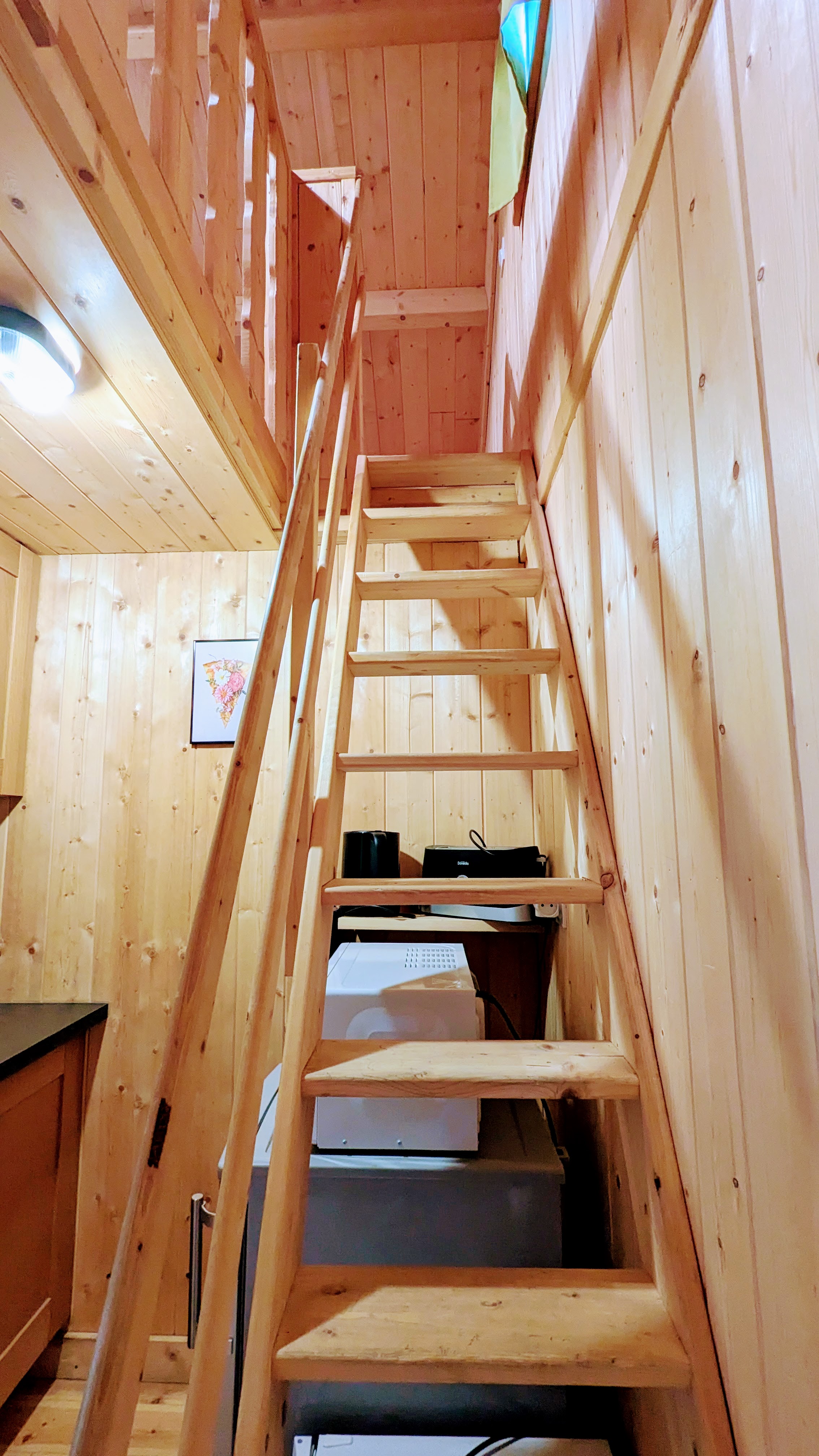Lodge des Taillets : une cabane sur pilotis au cœur des Alpes à Serrières-Sur-Ain — vue depuis la terrasse
