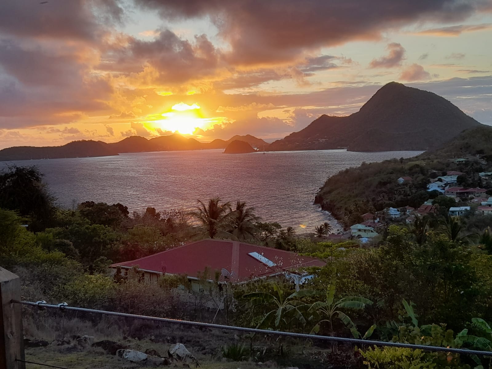 Ti Kaz Anoli : une cabane au cœur de la Guadeloupe à Terre-De-Bas — environnement naturel