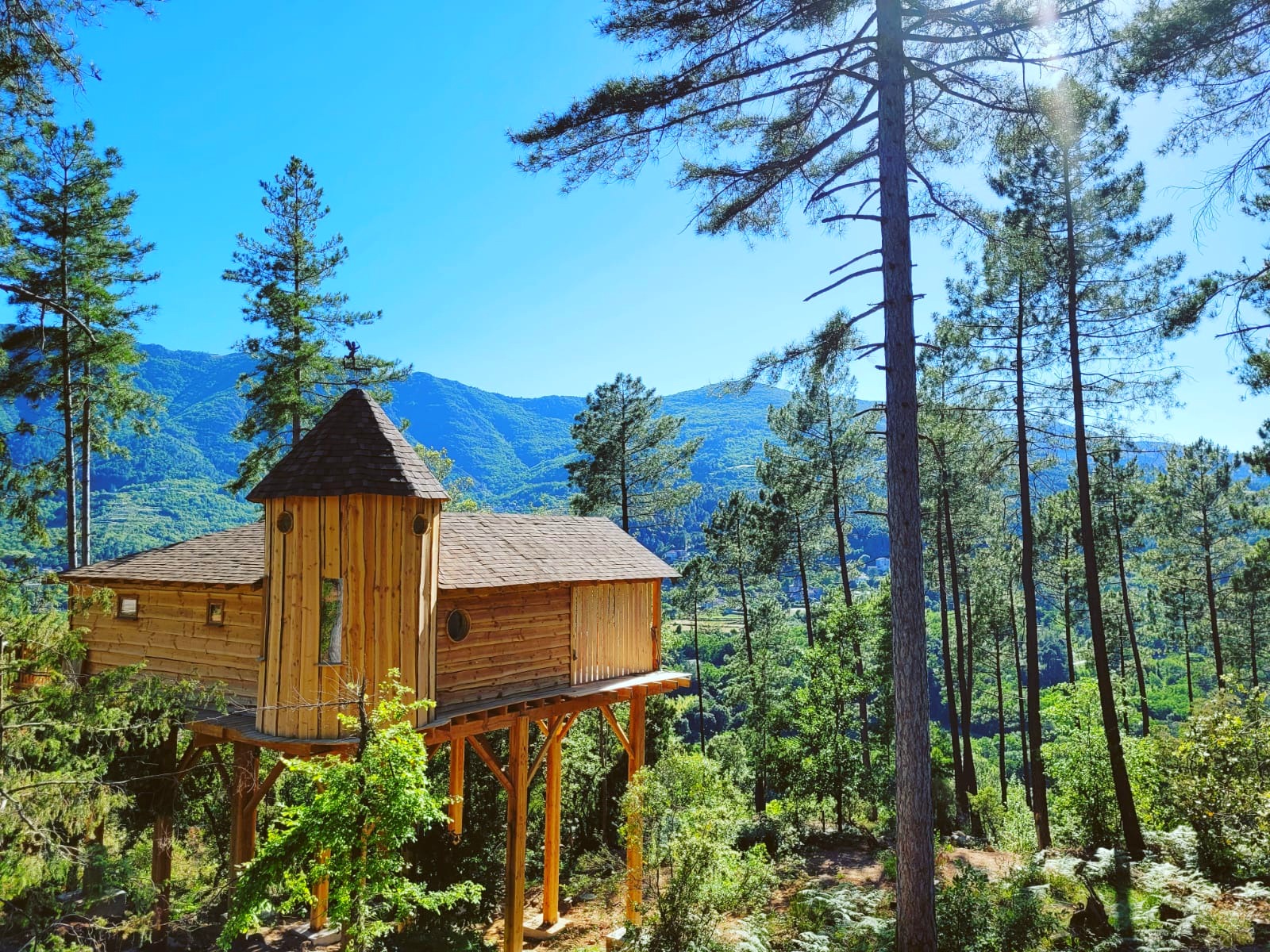 La cabane & spa Cupidon — Cabane dans les arbres avec spa à 6m en Ardèche