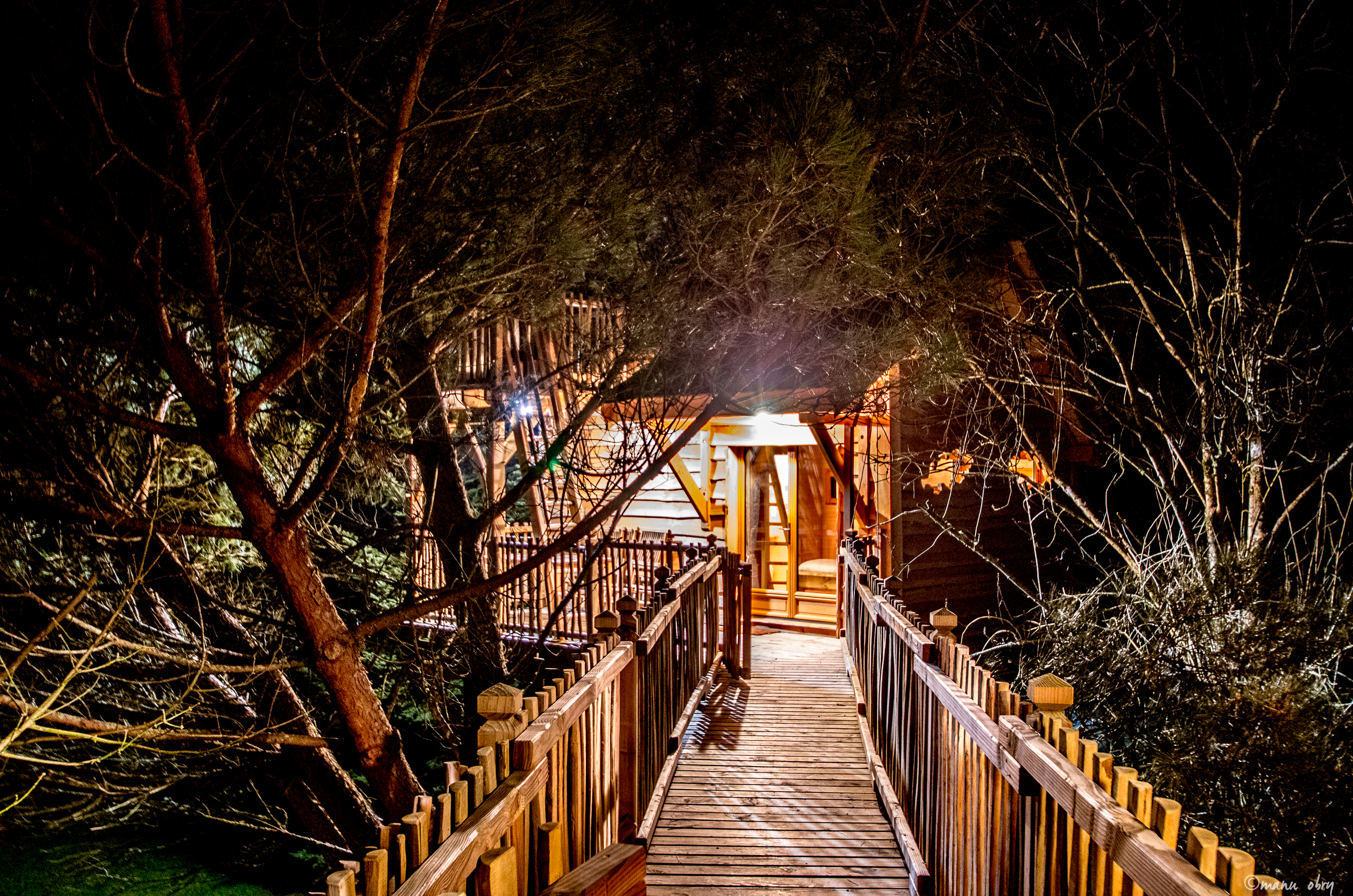 Cabane Palombière : une expérience suspendue dans les arbres à Le Nizan — espace de vie
