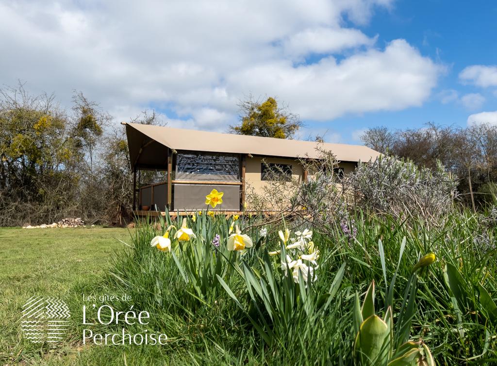 Tente Lodge de l'Orée Perchoise — Lodge avec spa à Loir-et-Cher à Saint-Marc-Du-Cor — vue intérieure