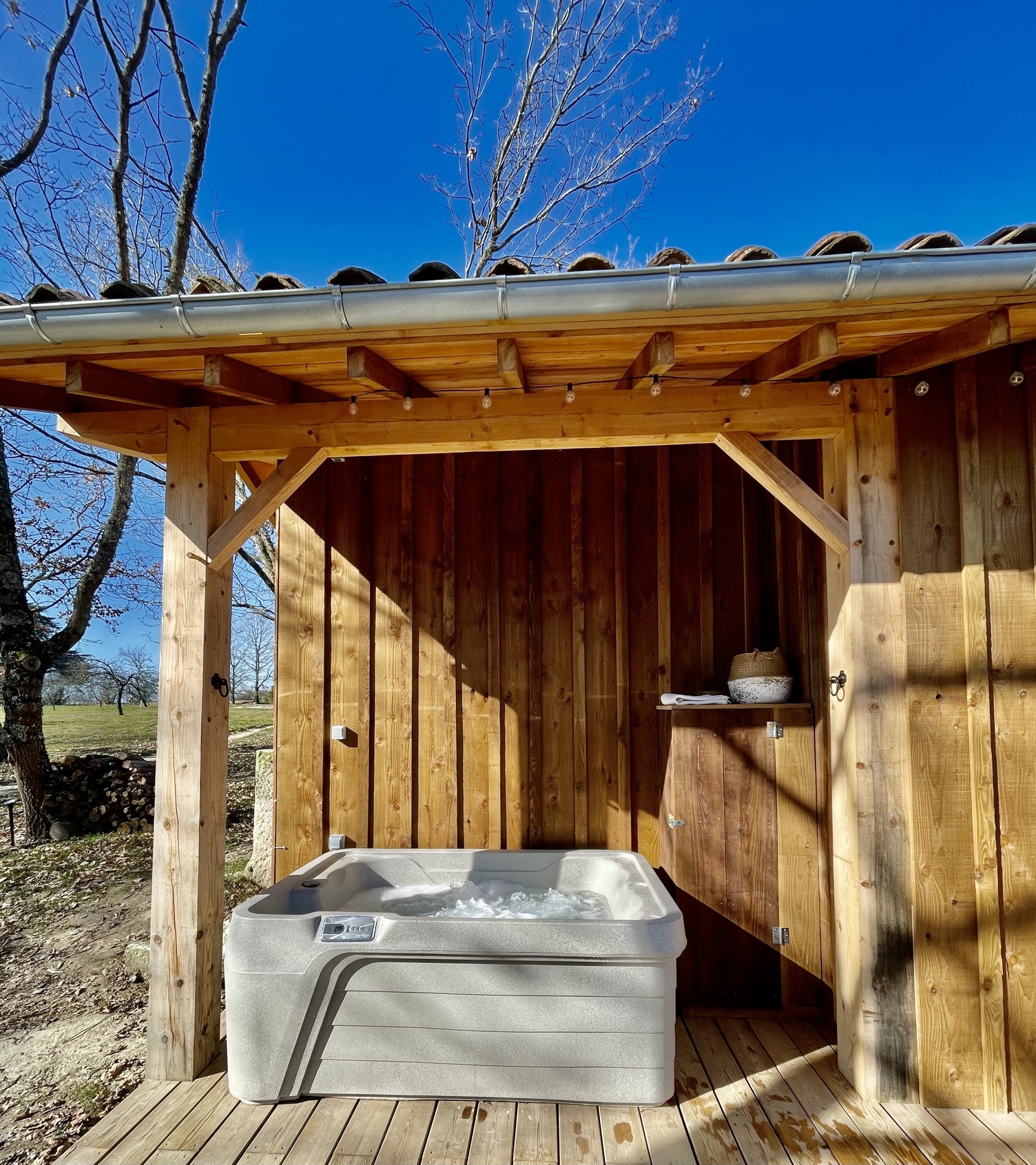 Lichen dôme géodésique & Spa : une évasion sensorielle en pleine nature à Lagraulet Du Gers — vue depuis la terrasse