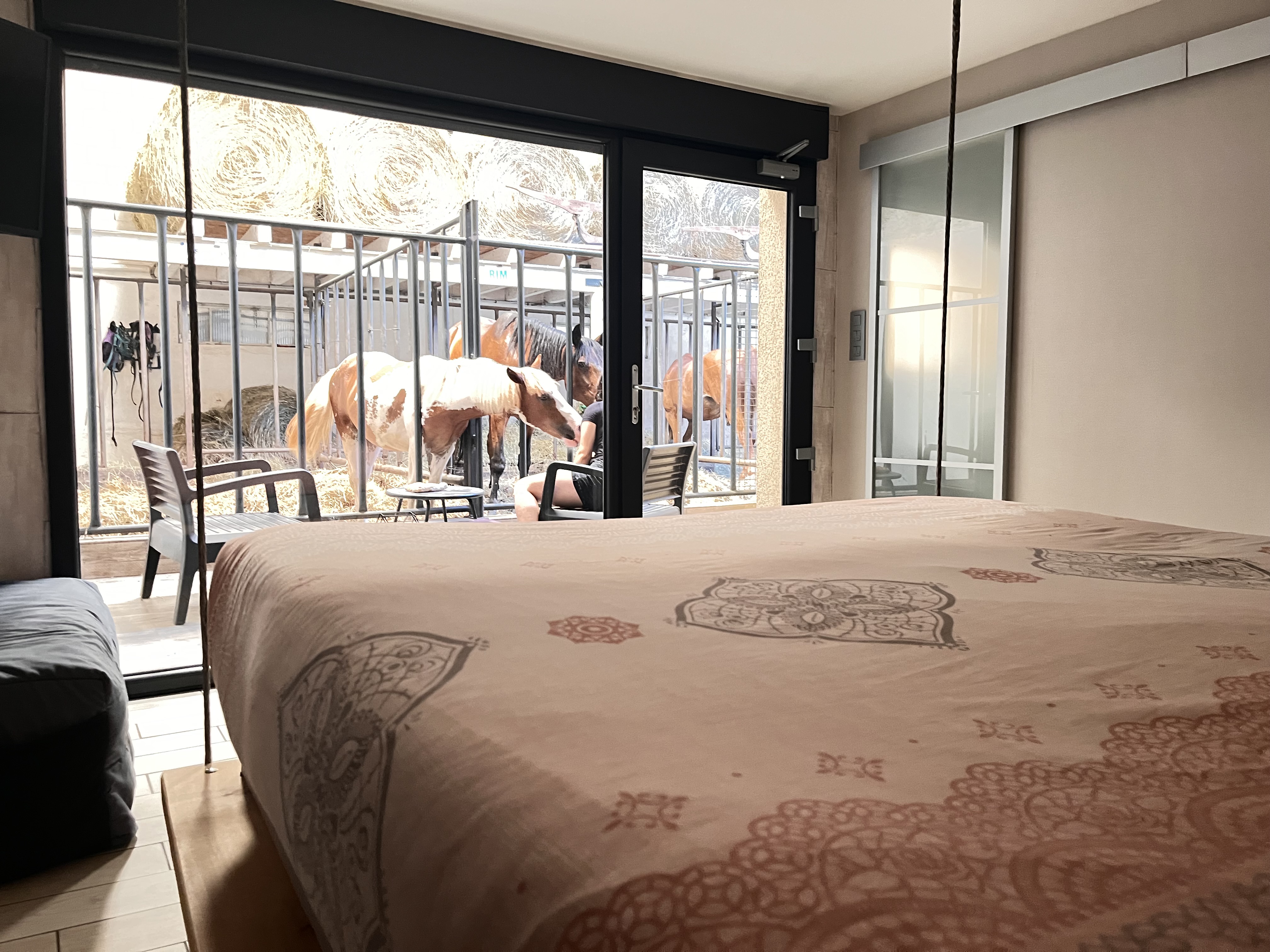 Suite 3 — Hébergement avec jacuzzi et vue sur chevaux à Vosges à Épinal — vue intérieure