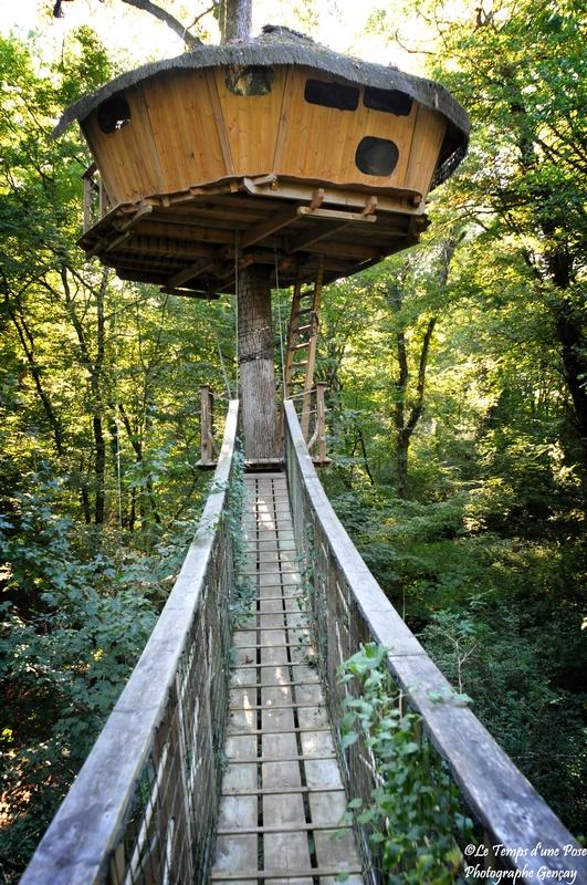 Cabane Amazonie : une évasion perchée dans les arbres à Magné — chambre