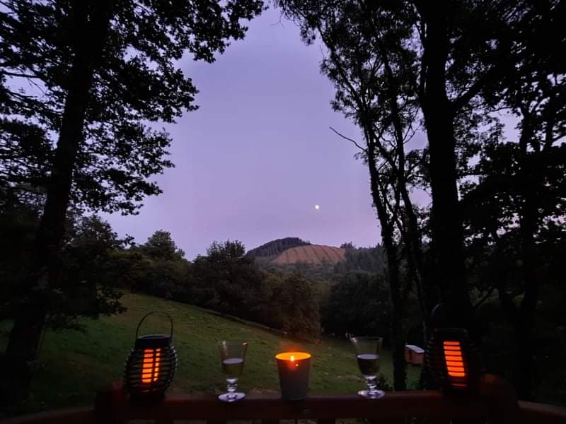 Le Dôme à Marie — Dôme géodésique avec vue panoramique à Tarn à Albi — vue depuis la terrasse