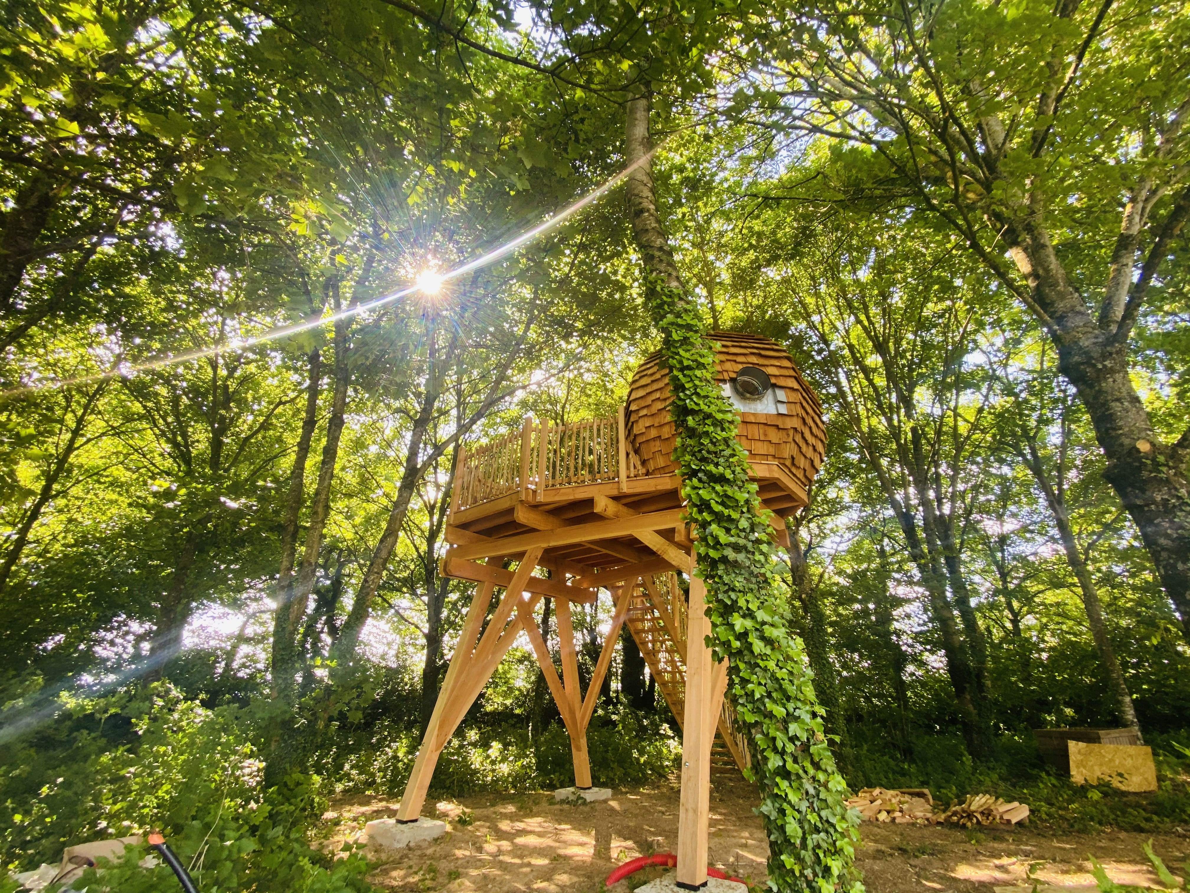 La tête dans les étoiles : Lov'nid en Bretagne — Lov'nid à Guerlédan