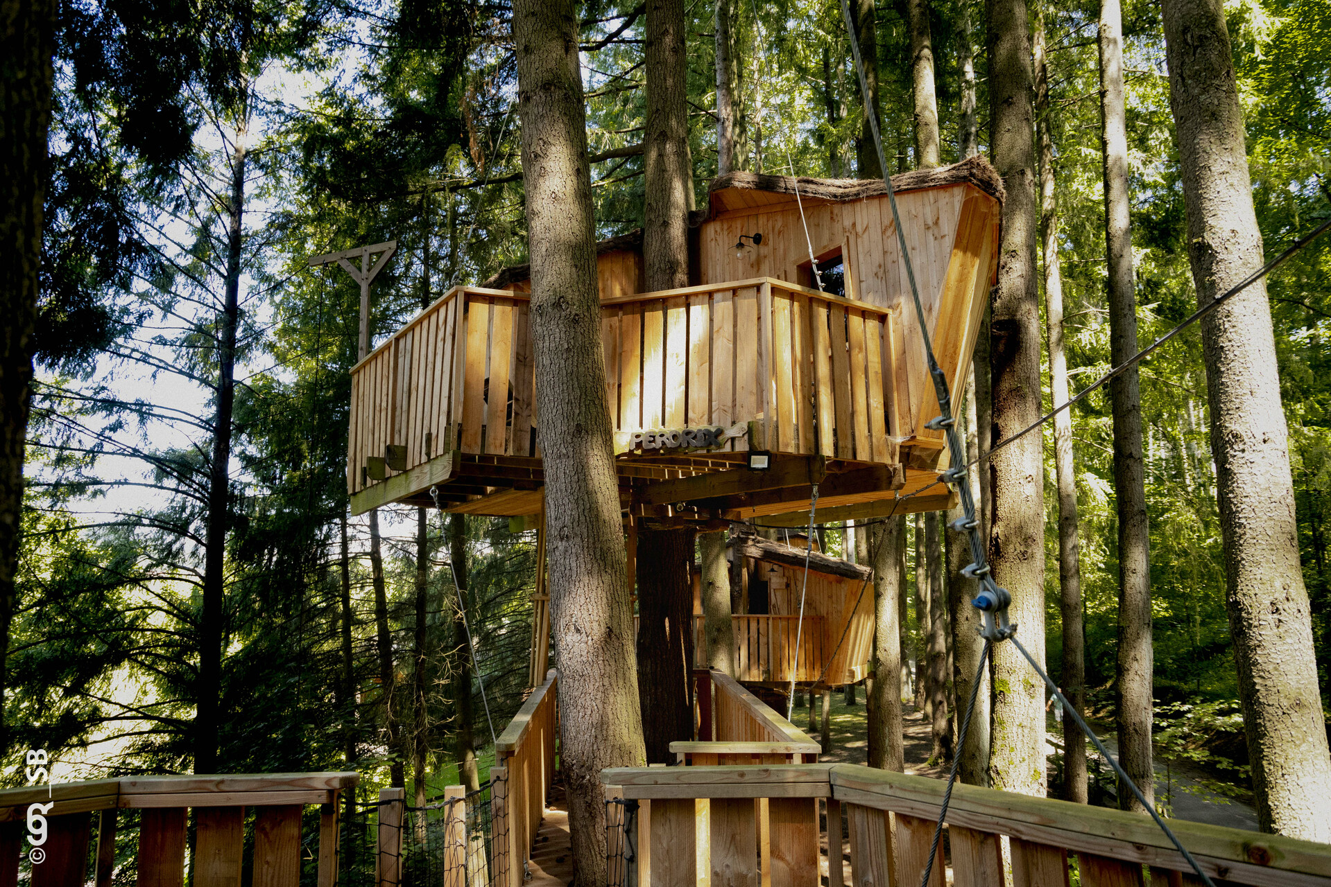 Cabane PERDRIX — Nuit perchée à 9m avec sauna à Rhône