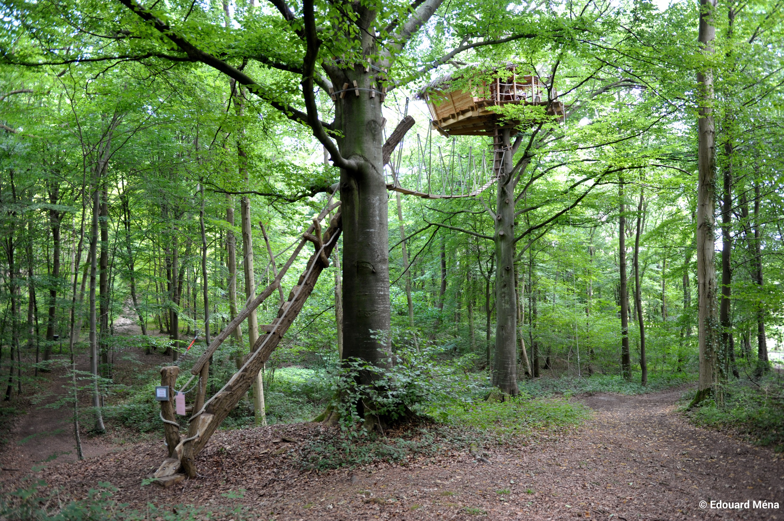 Berceau : une cabane dans les arbres pour une escapade enchantée à St Germain Des Essourts — espace de vie