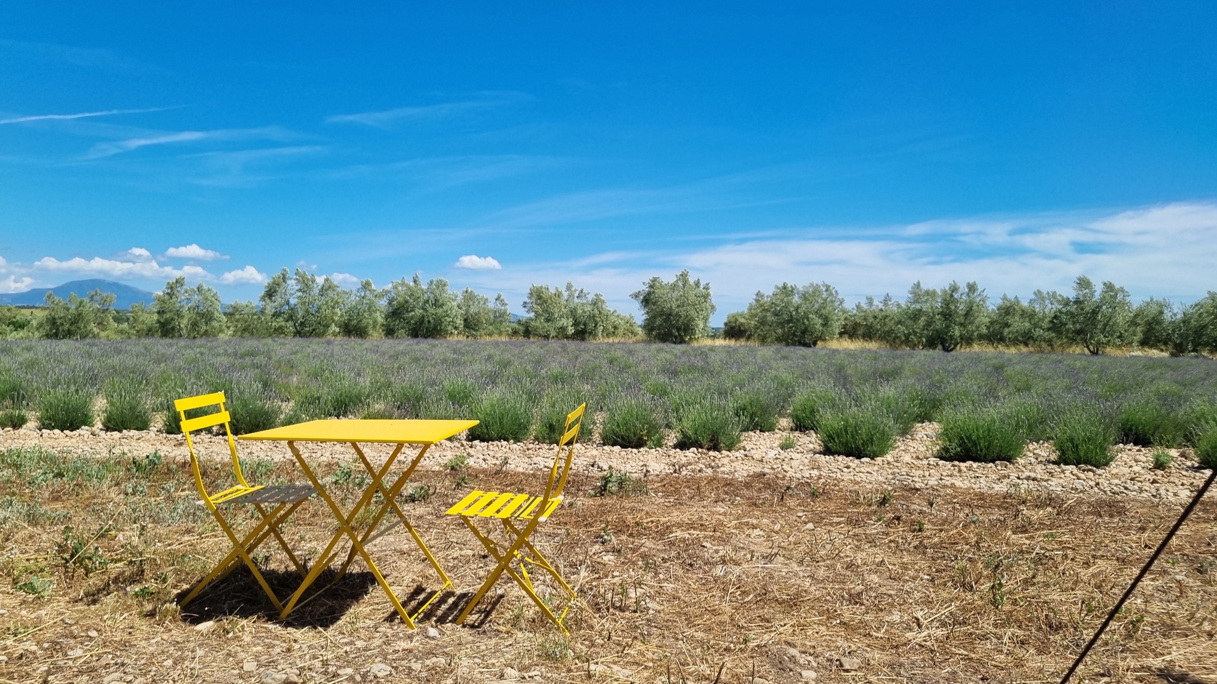 Les Lavandes : une expérience unique en tente lodge à Valensole — chambre
