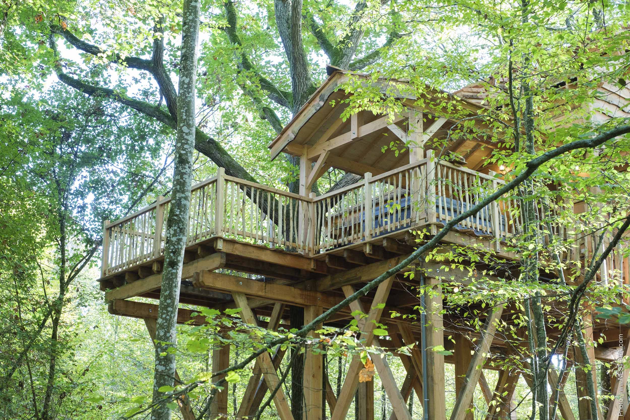 La Cabane du Grand Chêne & Spa : une évasion dans les arbres à La Bussière — vue depuis la terrasse