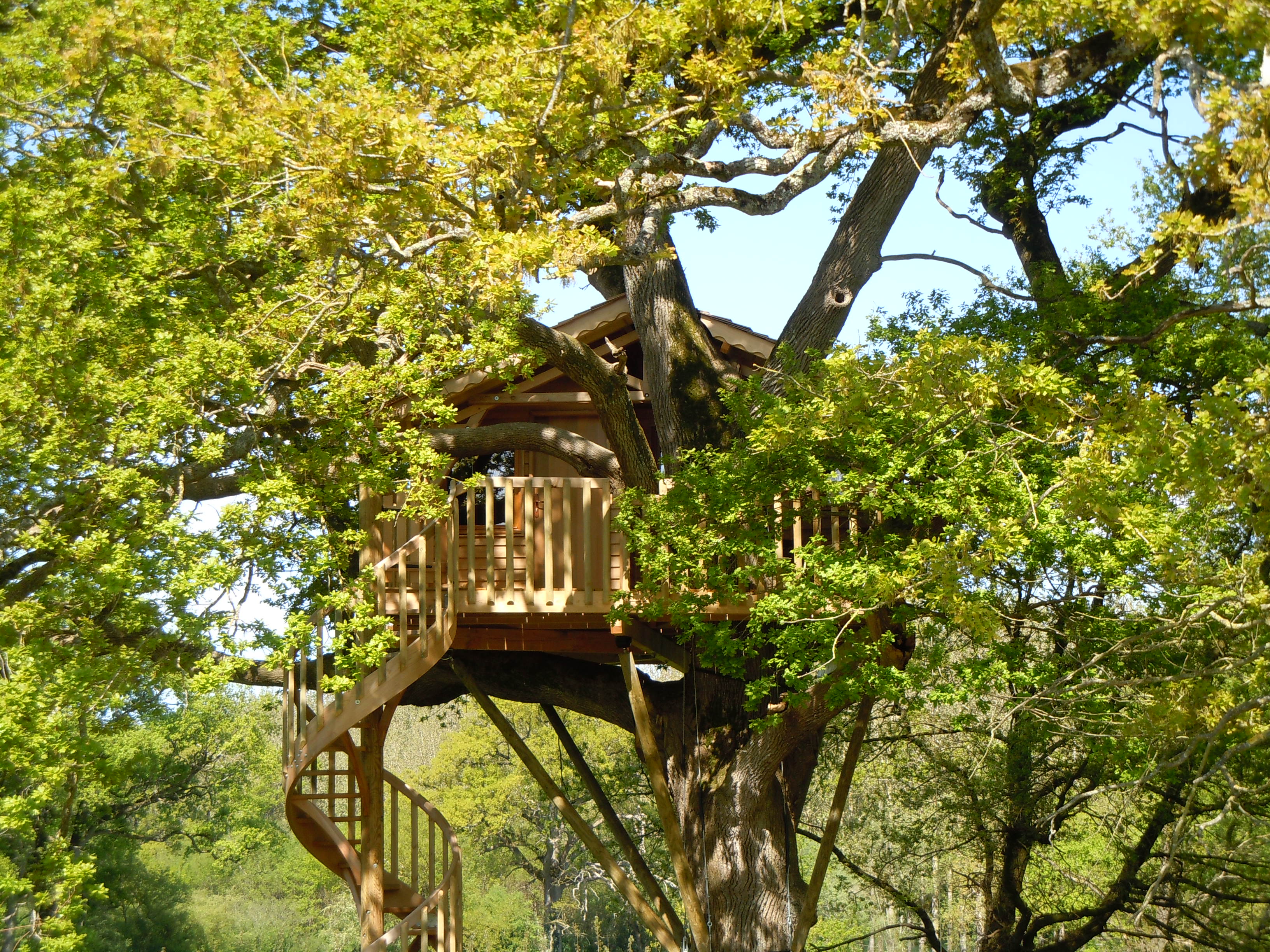O' charmes : une cabane perchée au cœur de la nature