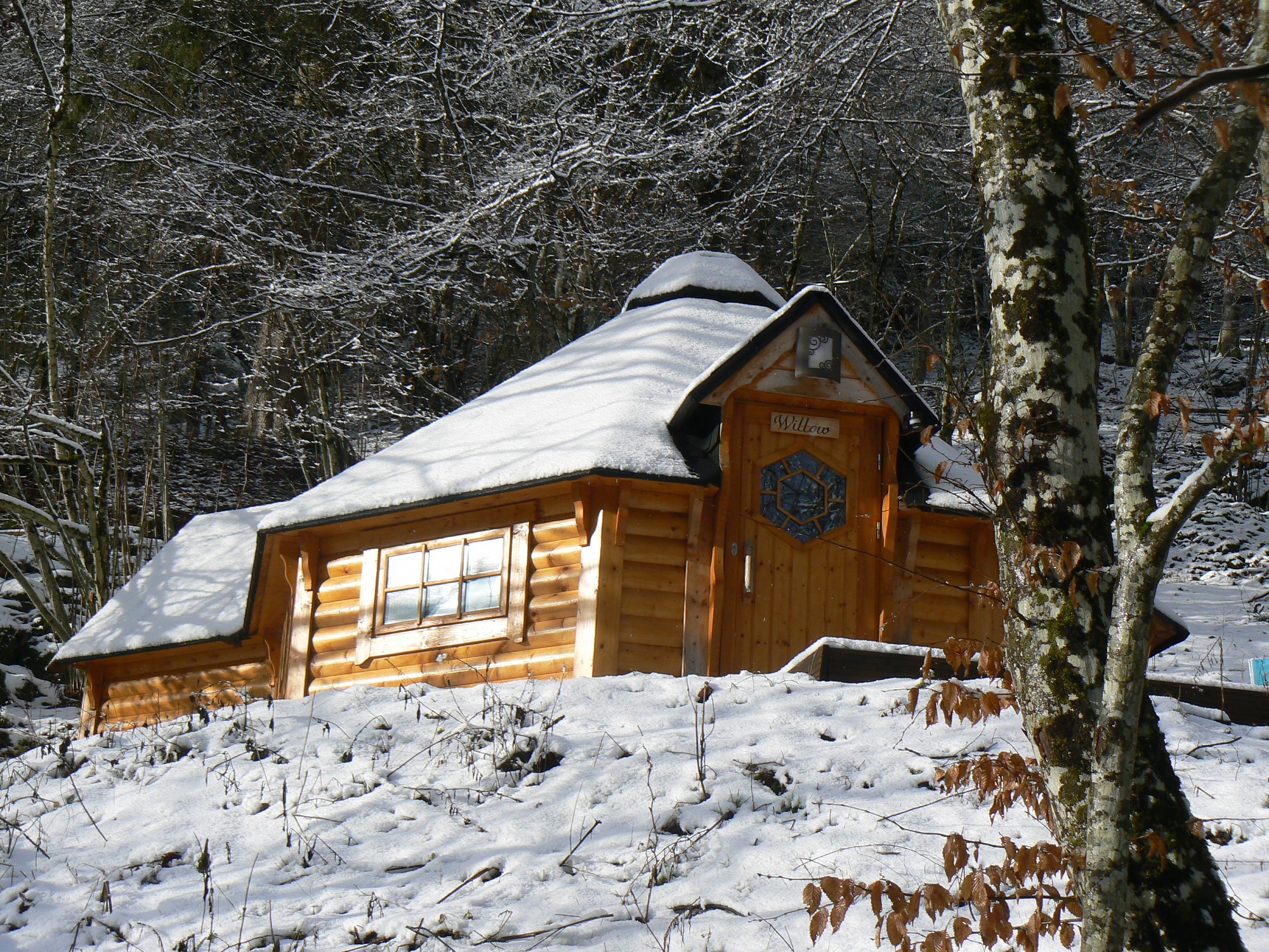 Kota Willow : une immersion en pleine nature alsacienne — Cabane à Métzéral