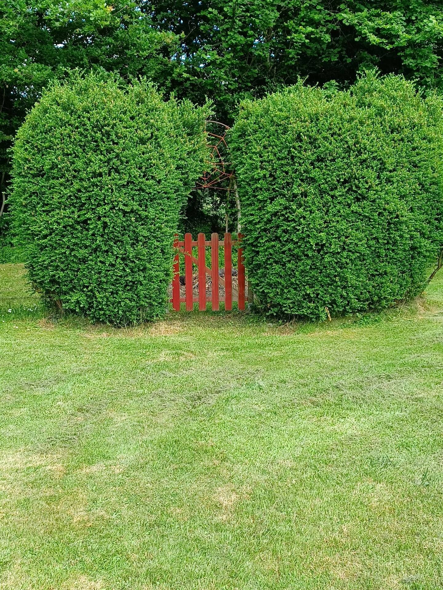 Évasion étoilée dans une bulle en Limousin à La Saunière — vue depuis la terrasse