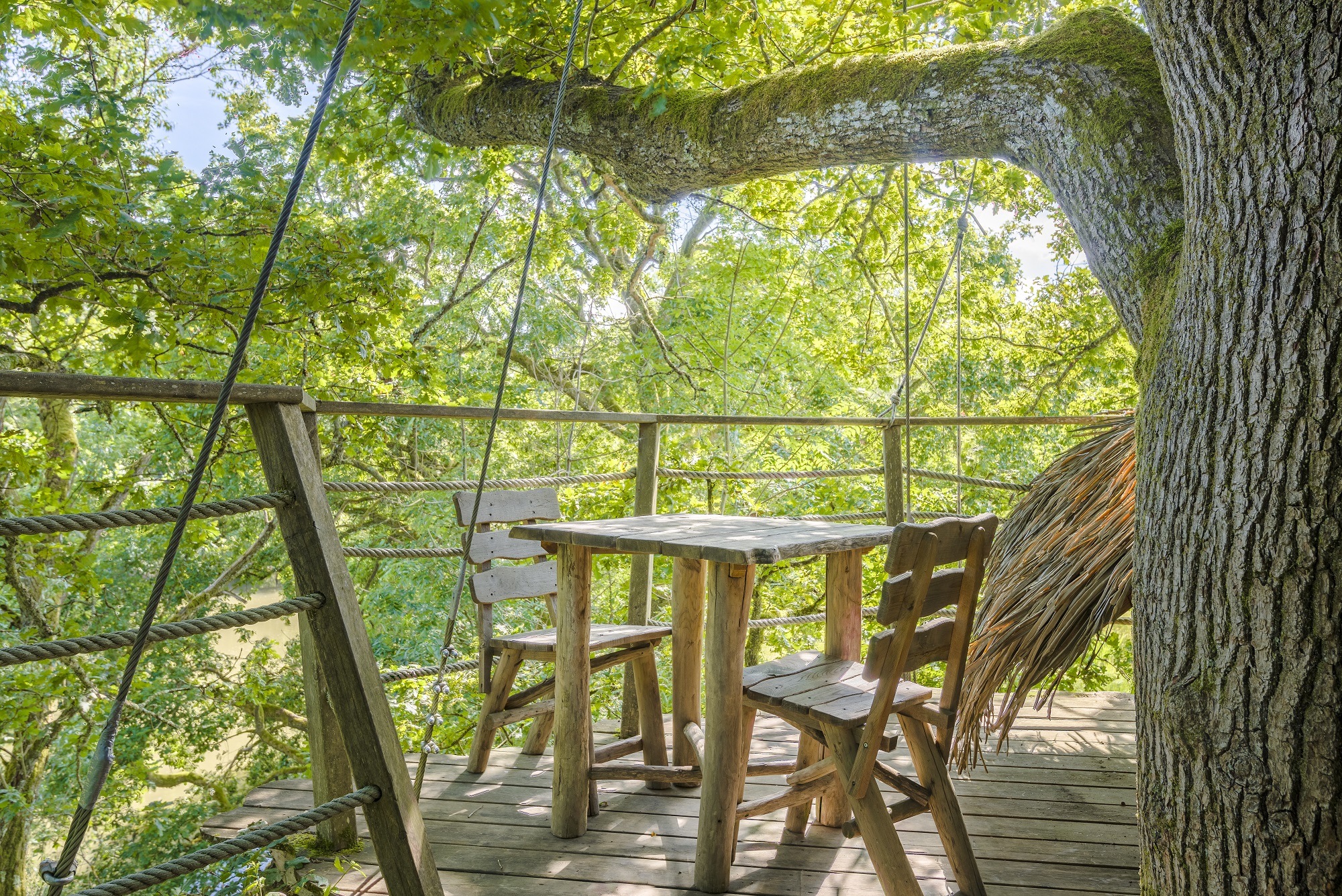 Cabane Extase : une immersion dans les arbres de Franche-Comté à Chassey-Lès-Montbozon — espace de vie