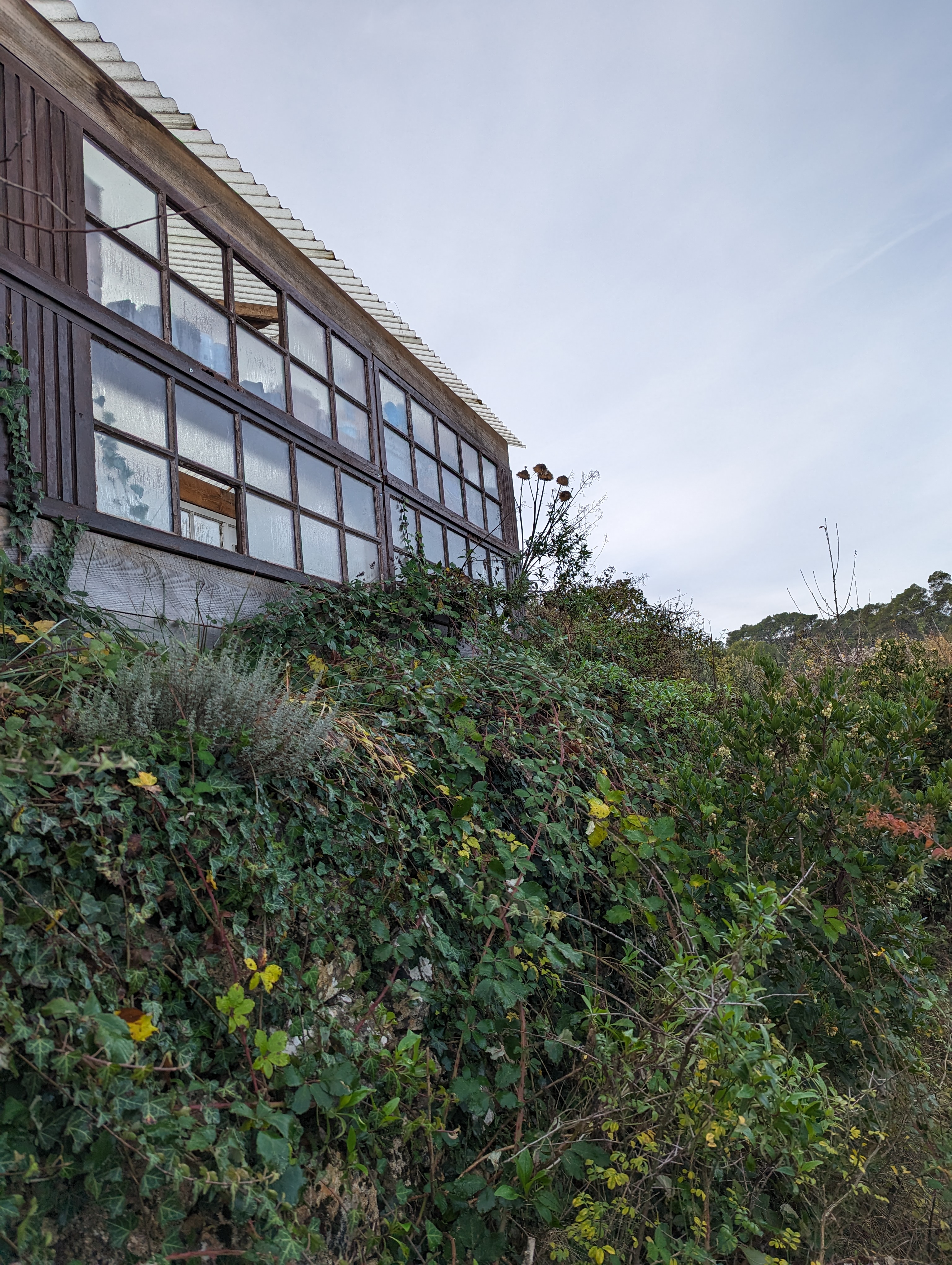 Cabayourte en Ecolieu — Yourte avec spa à La Mauvaise Herbe, Var à La Mauvaise Herbe — environnement naturel