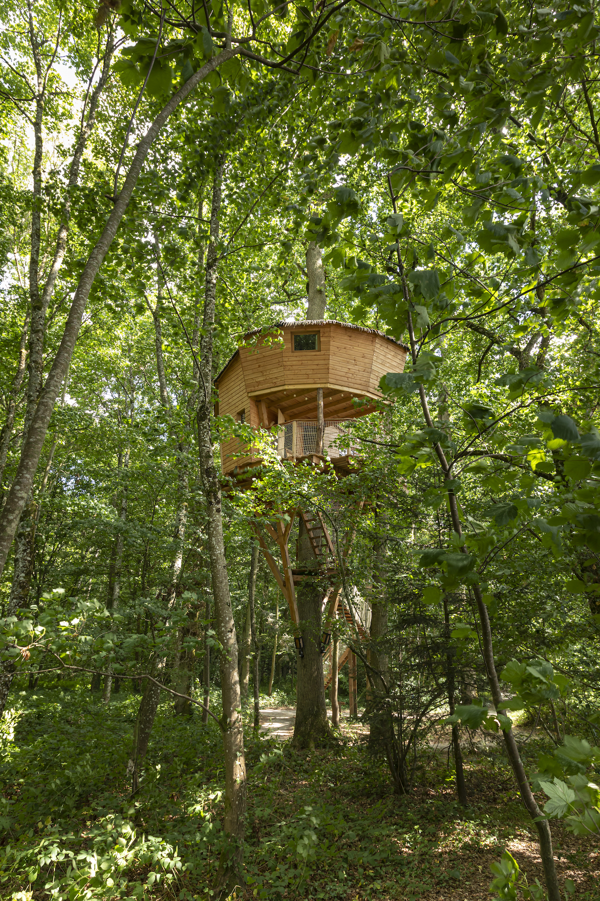 Monkey Tree : une cabane perchée au cœur de la Basse-Normandie