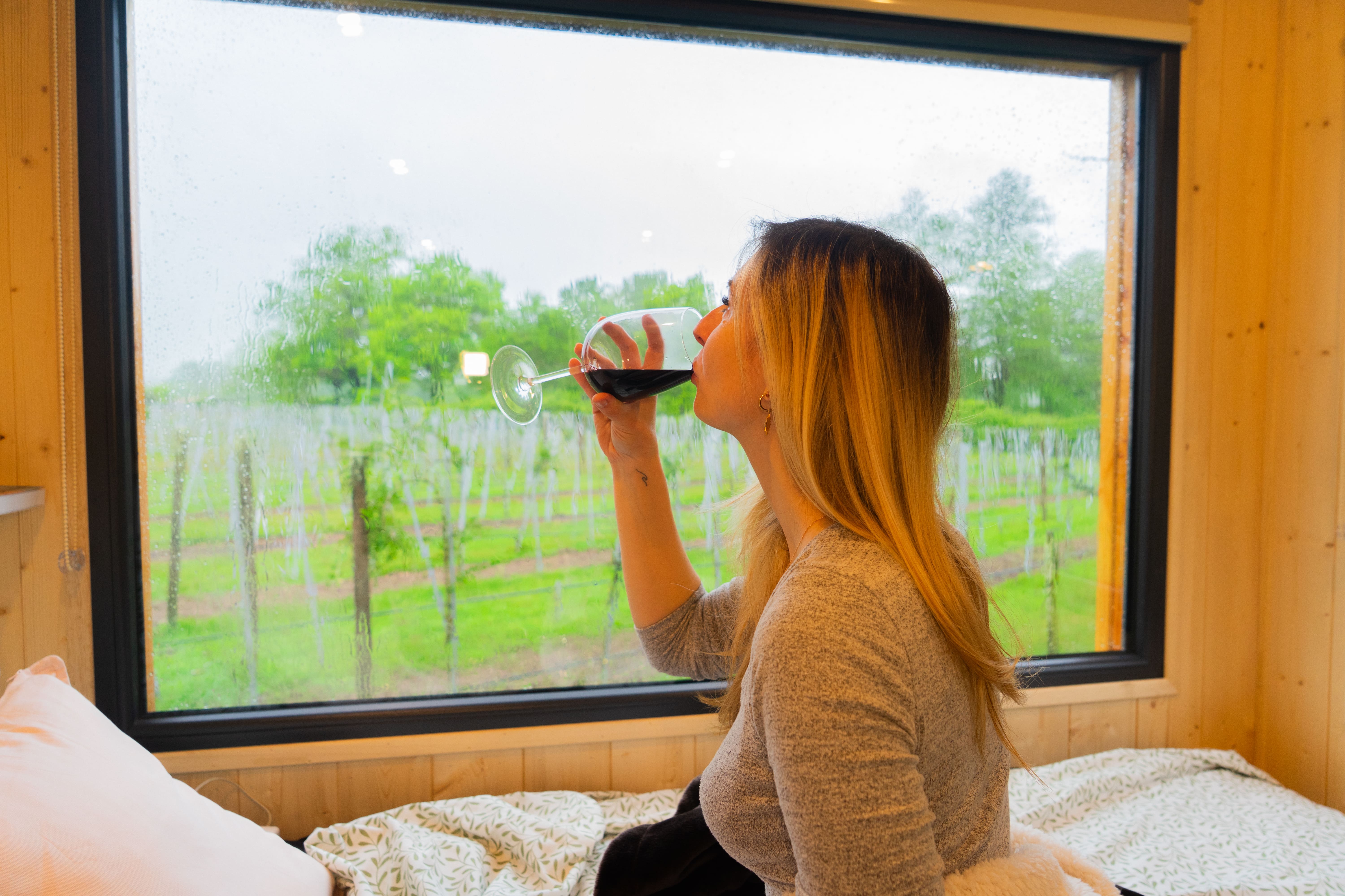 Le Clos des Gojis — Tiny House avec spa à Mouliets (Gironde) à Mouliets-et-Villemartin — chambre