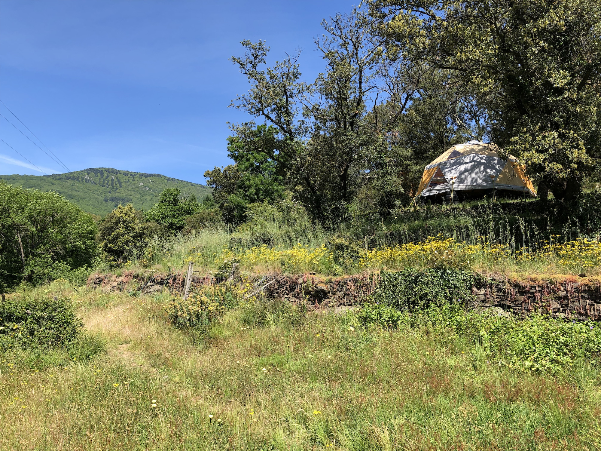 Photo 6/9 — Dôme « Un dôme en châtaignier pour une expérience champêtre inoubliable » à Prémian Hérault